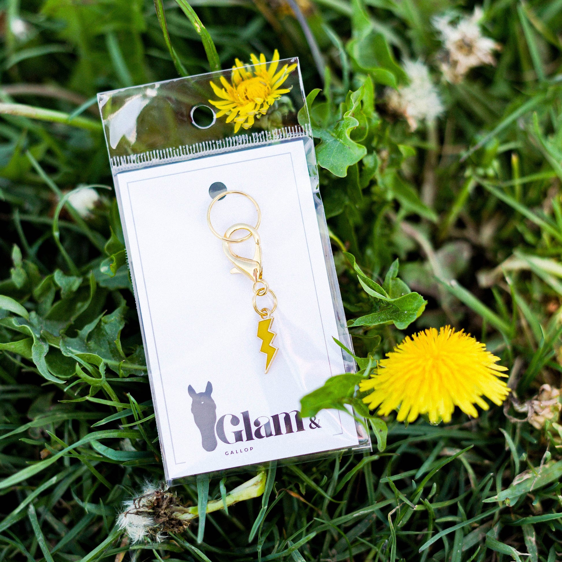 COLOR FLASH Charm - Glam & Gallop