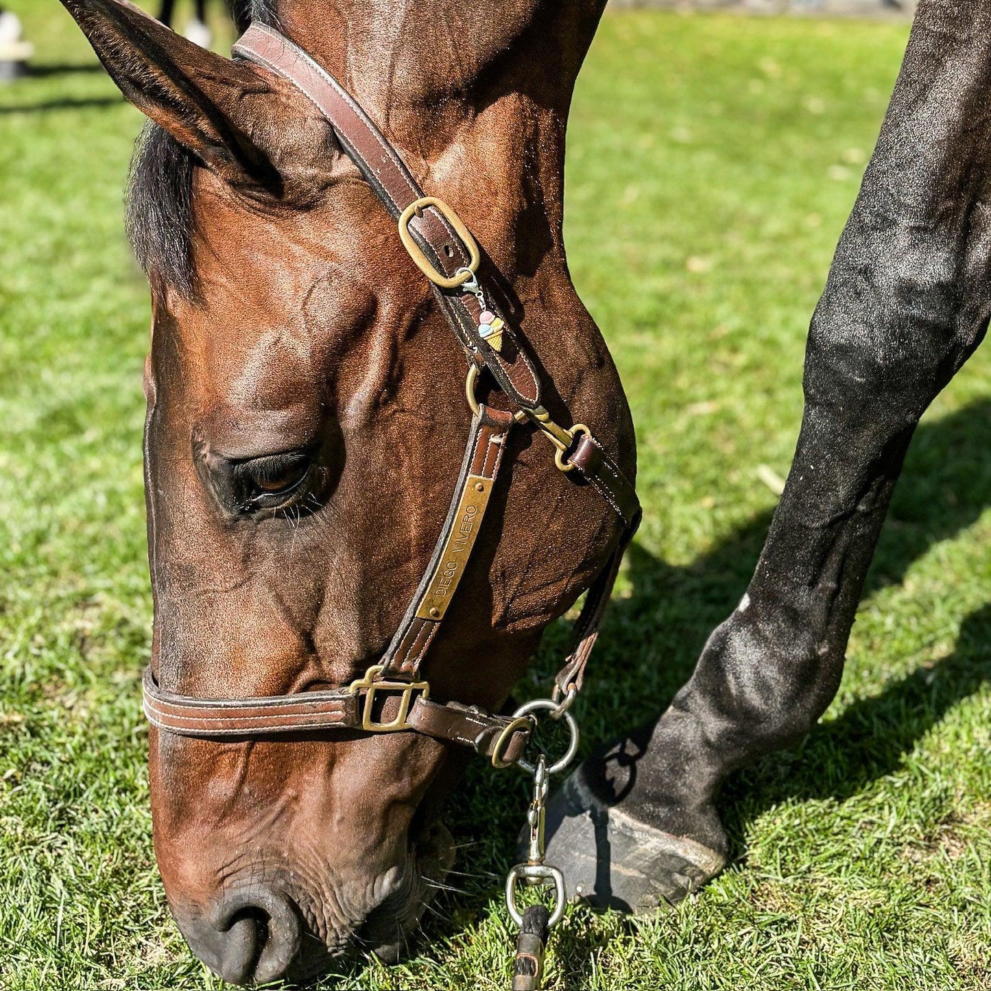 ICE ICE BABY Charm - Glam & Gallop