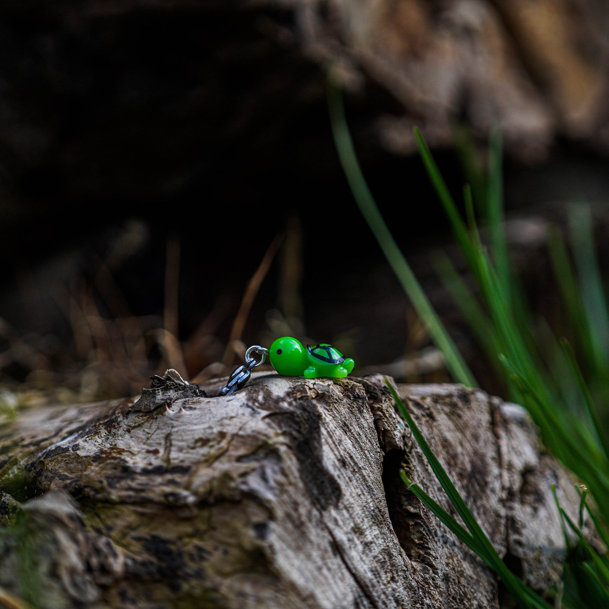 SCHILDKRÖTE Charm - Glam & Gallop
