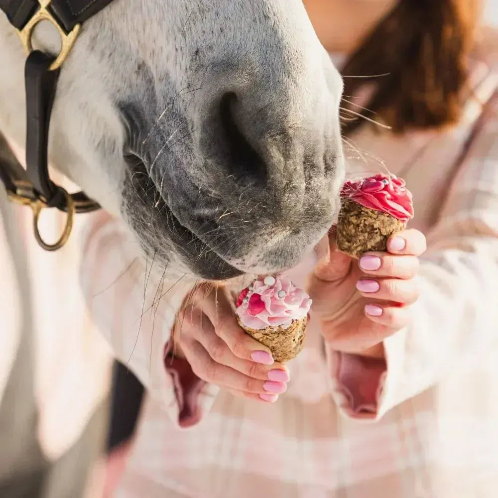 LOVE MUFFIN Leckerlie - Pony Bueno - Glam & Gallop