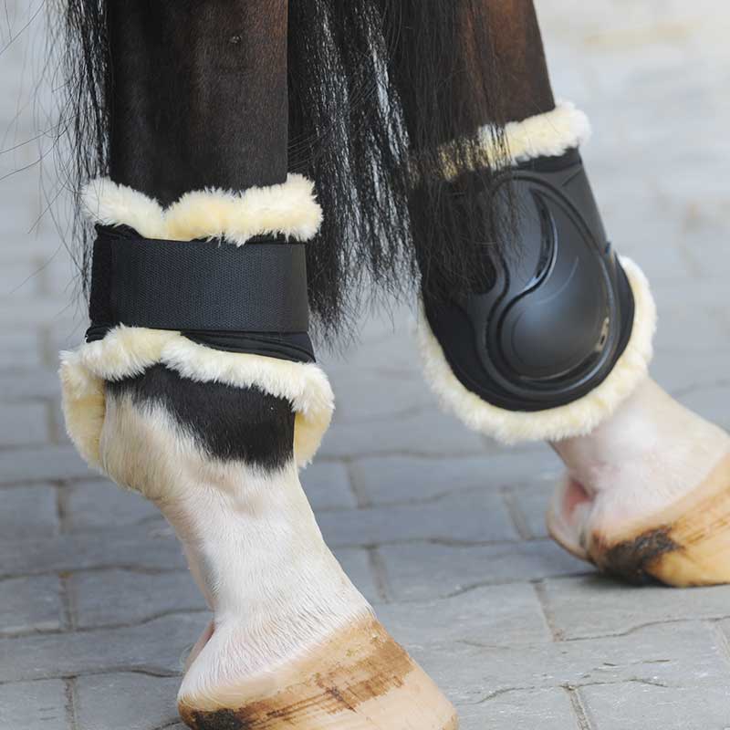 Hartschalen-Streichkappen "Compete 'n Wool"