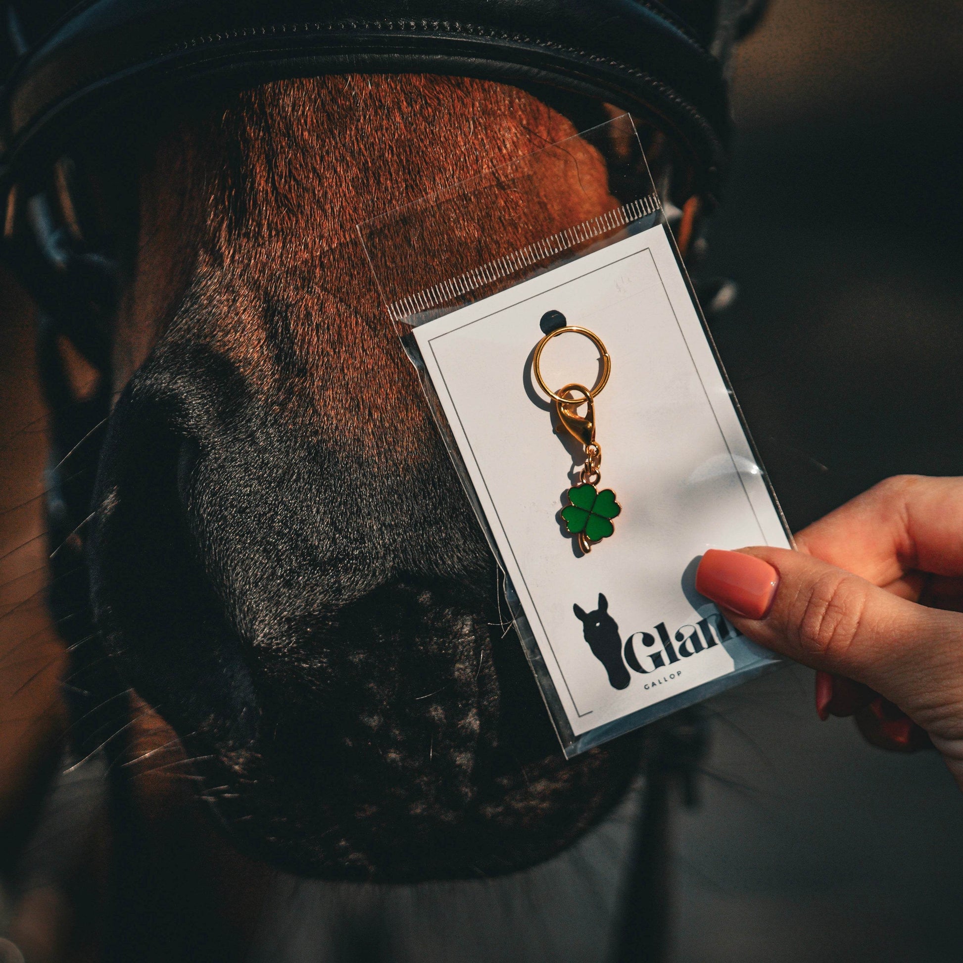 GLÜCKSKLEE Charm - Glam & Gallop