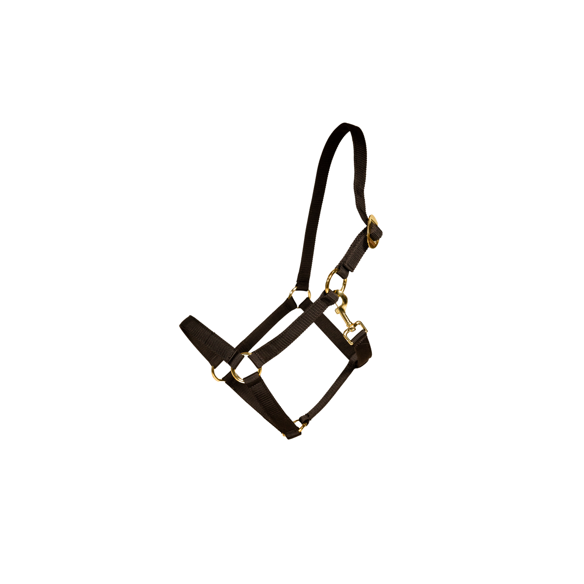 Nylon Halfter