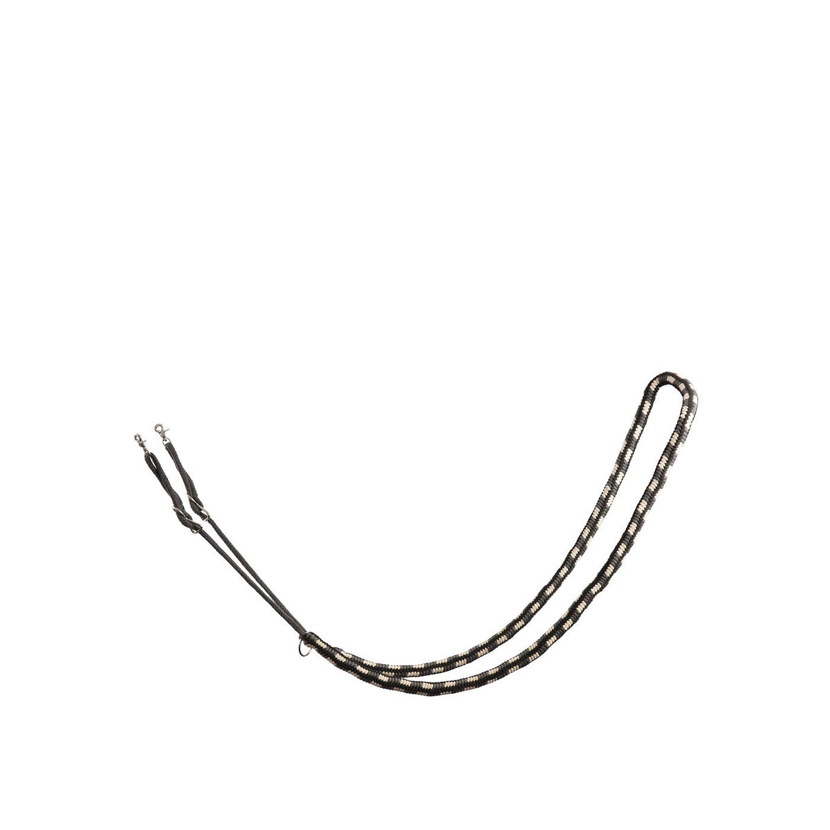 BR Lunging Aid ?