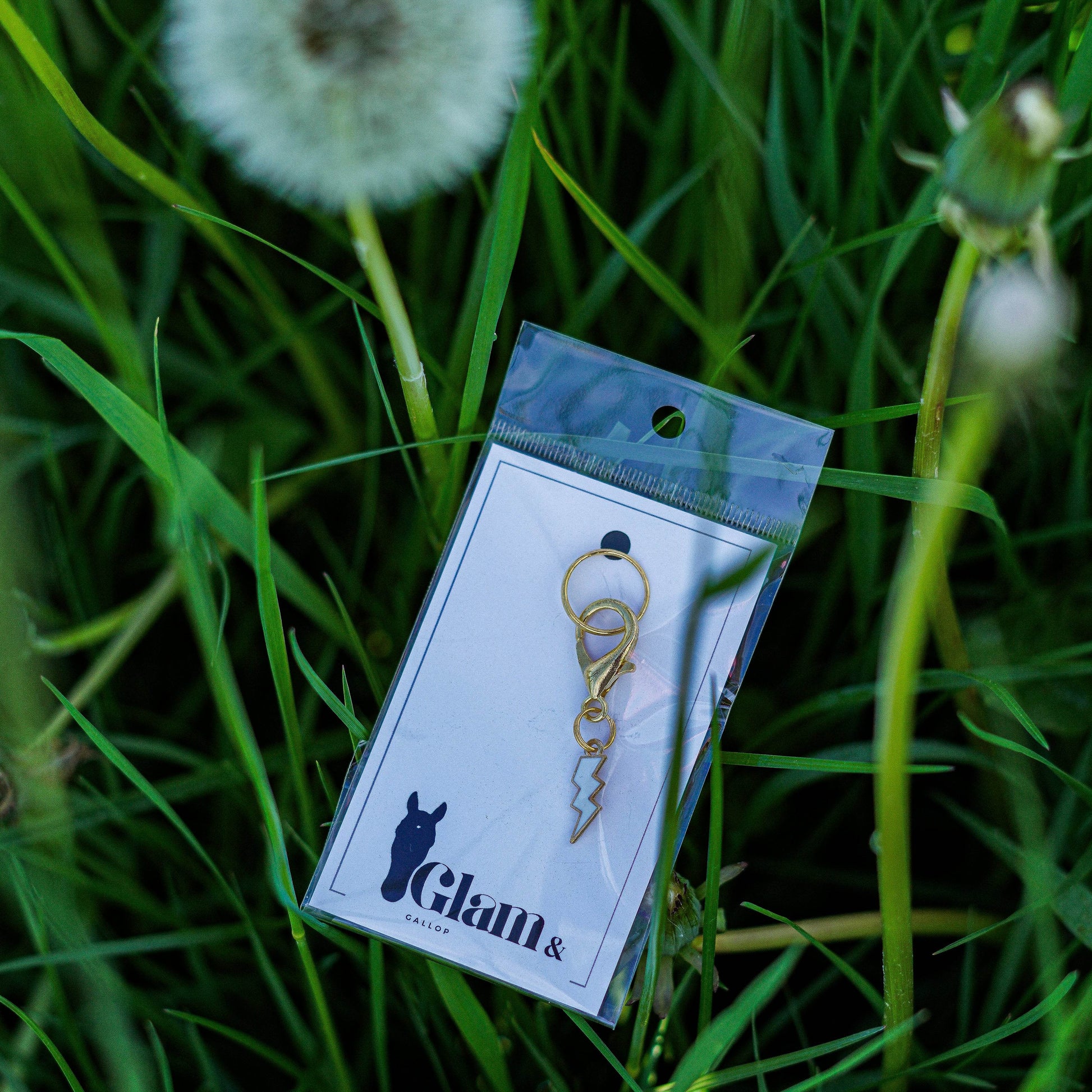 COLOR FLASH Charm - Glam & Gallop