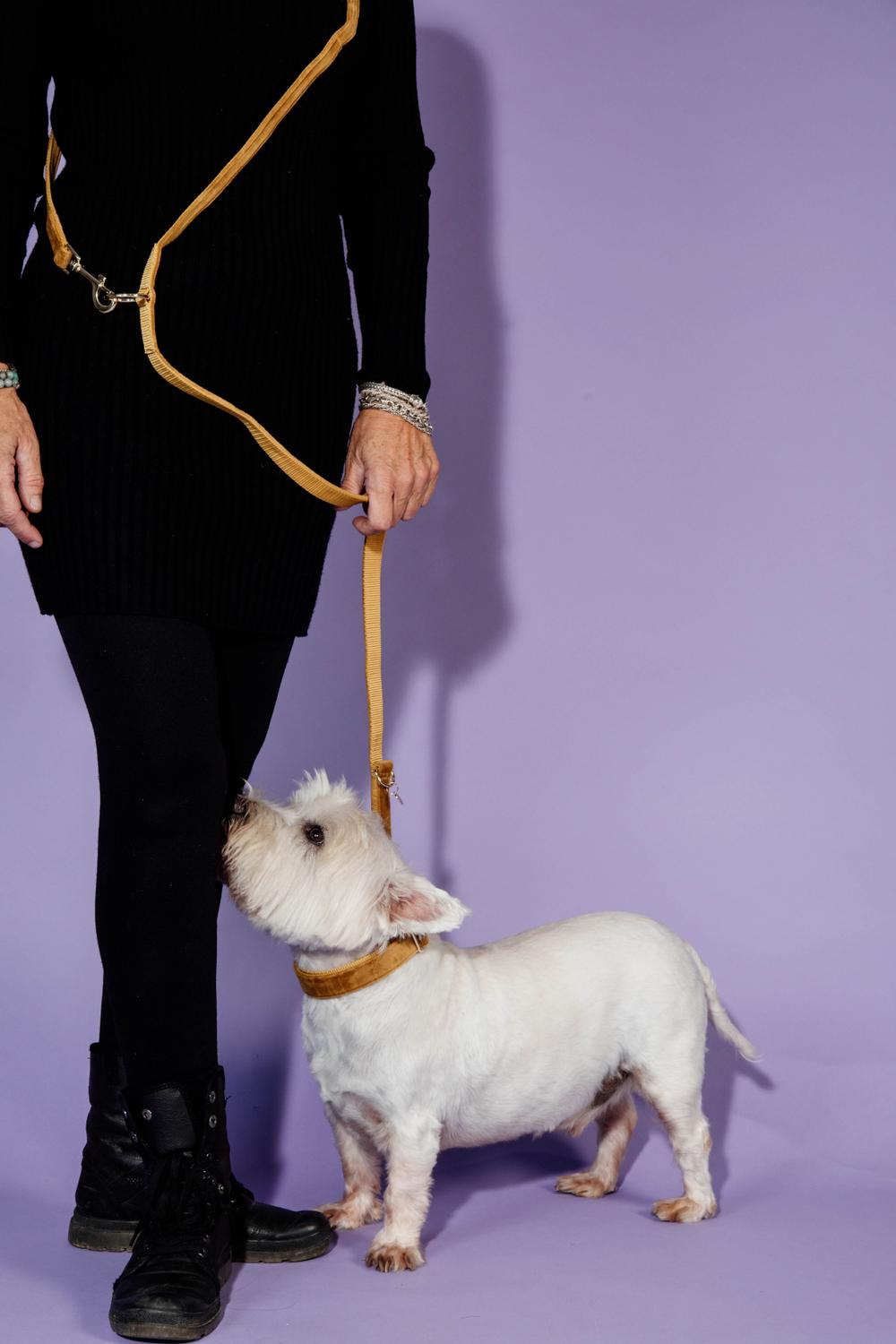 Hundeleine Velvet 200 cm - Kentucky Dogwear