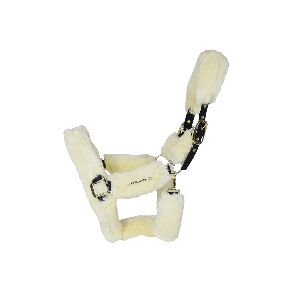 Lamfell Transport Halfter - Kentucky Horsewear