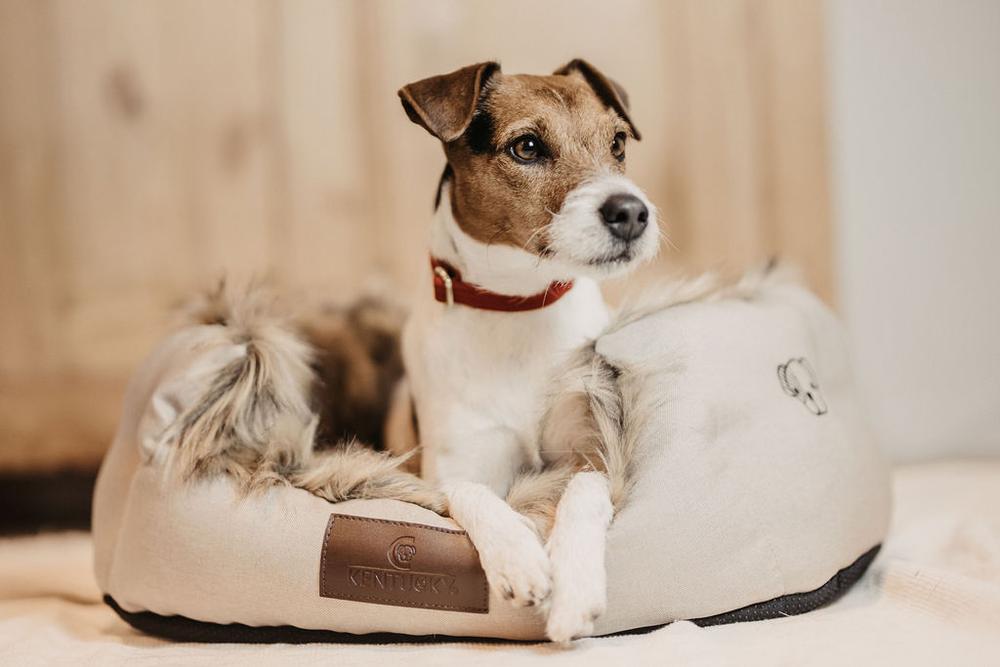Hundebett Cave - Kentucky Dogwear