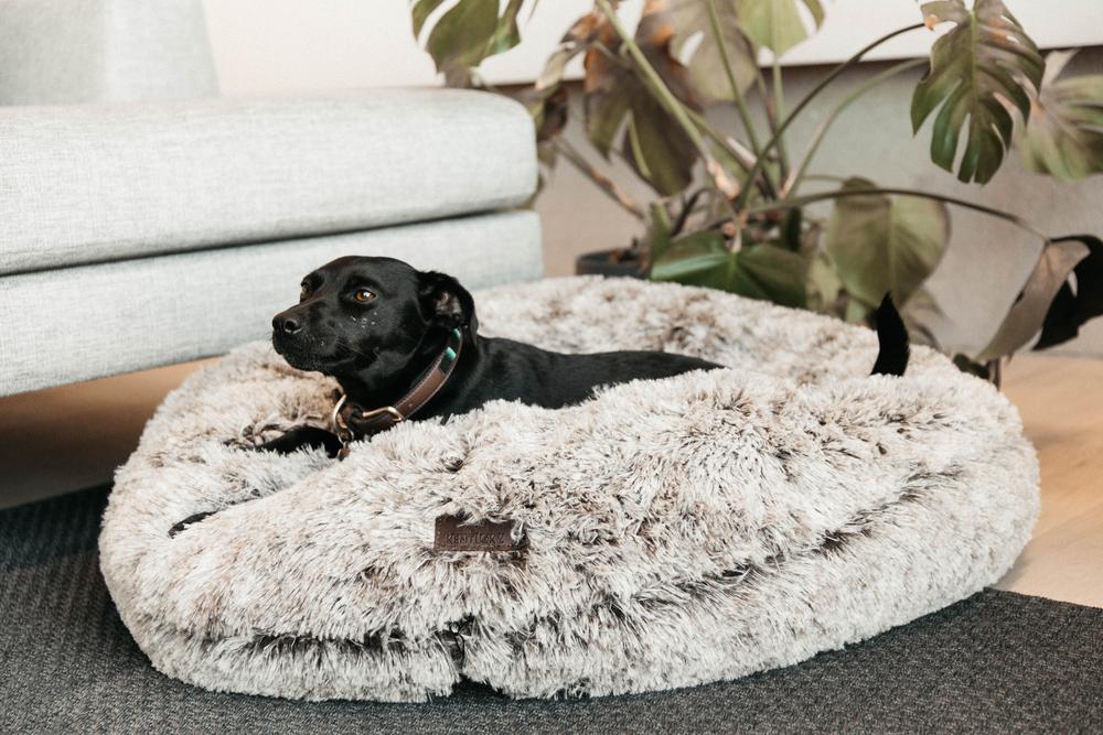 Hundebett Komfort Donut - Kentucky Dogwear