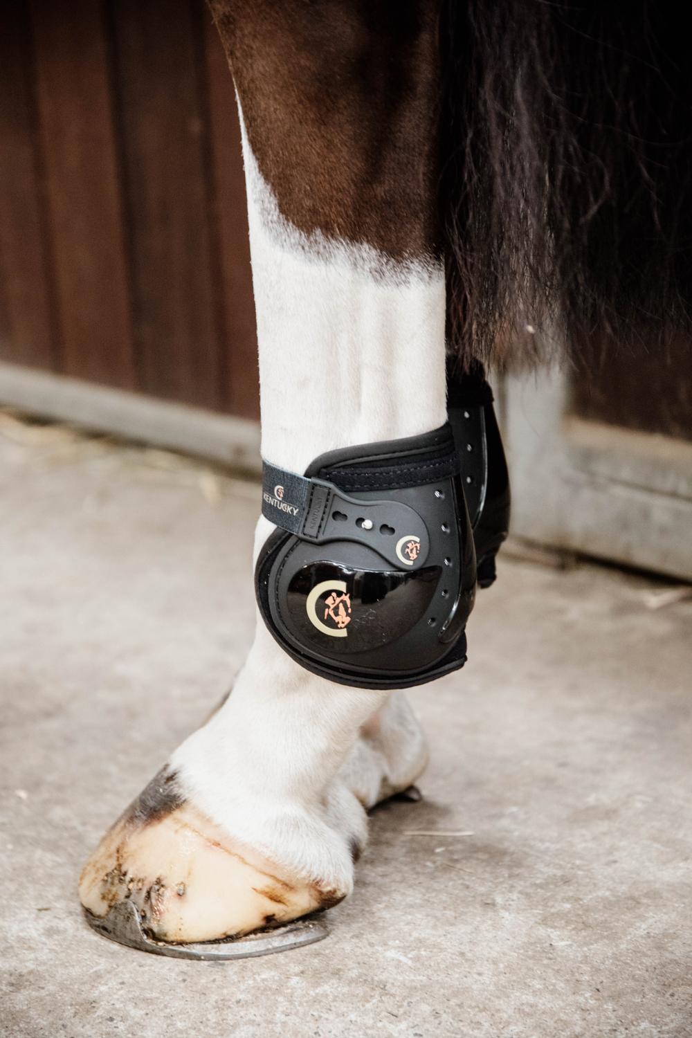 Moonboots Elastik - Kentucky Horsewear