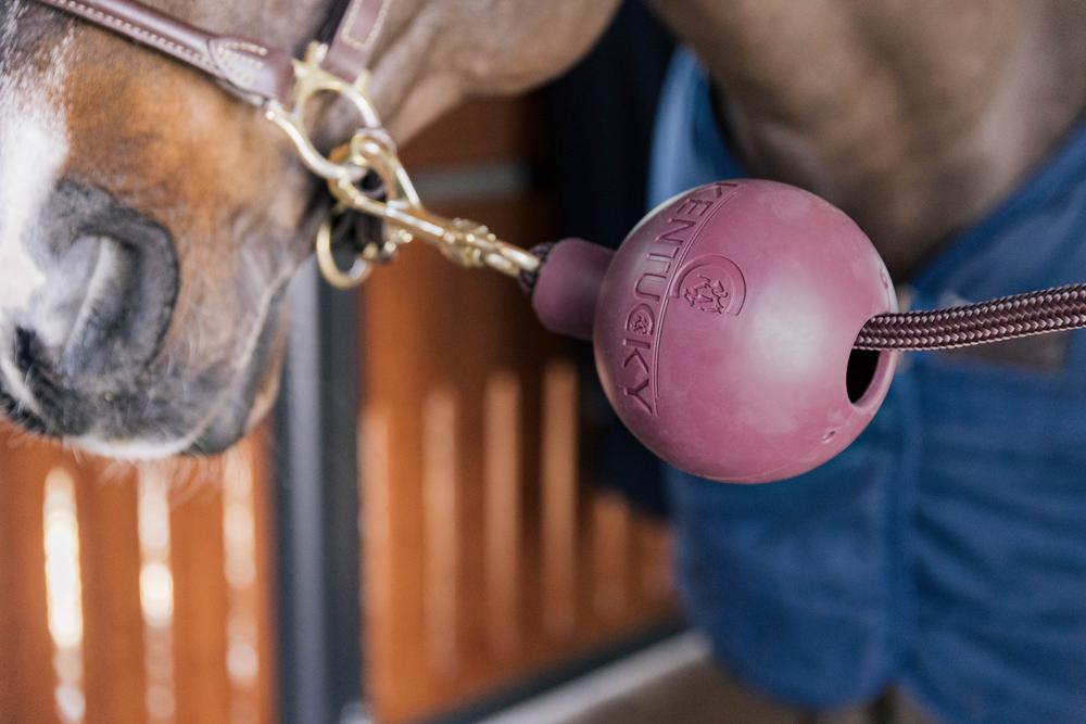 Anbinder & Wandschutz Gummiball - Kentucky Horsewear