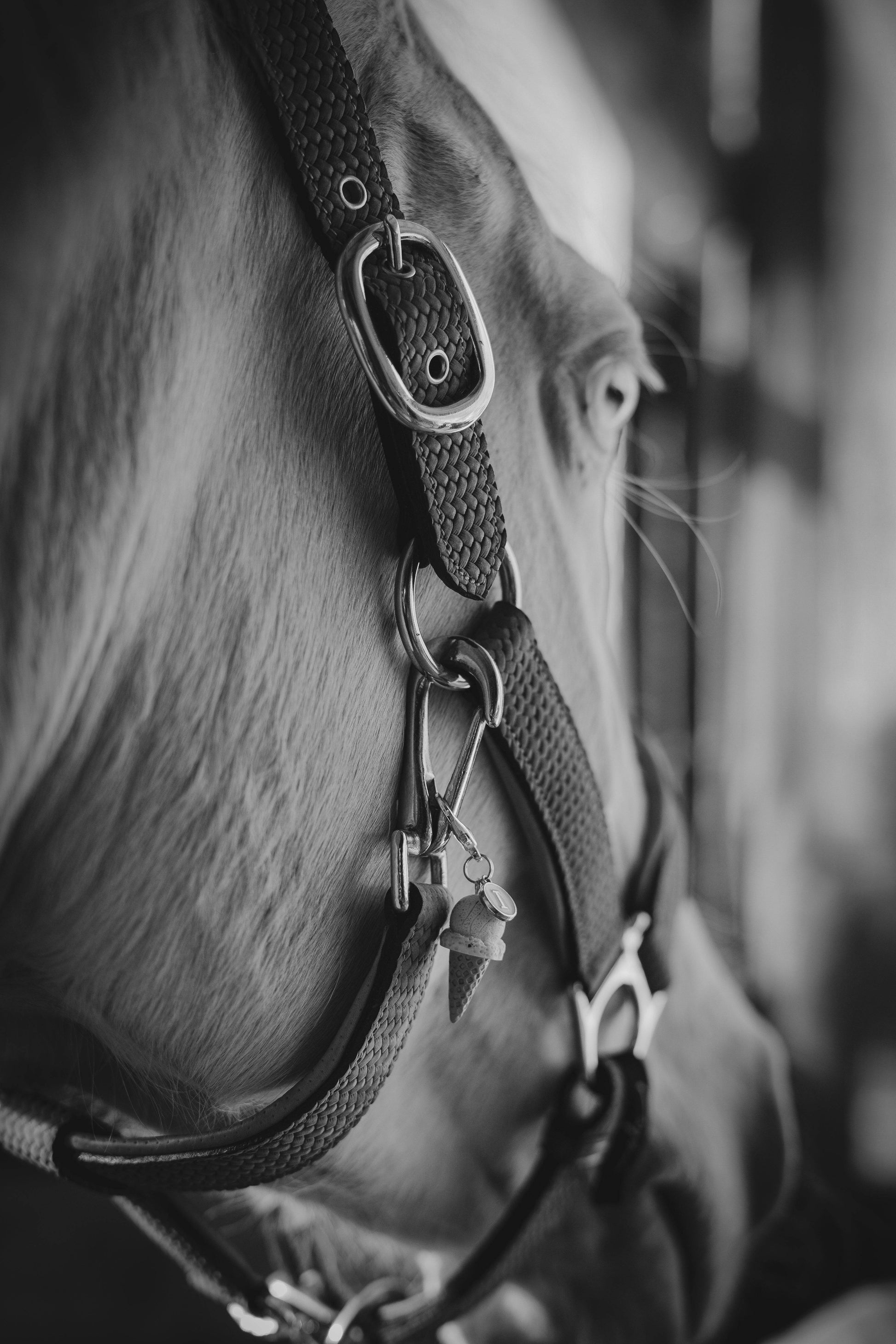 ICE CREAM Charm - Glam & Gallop