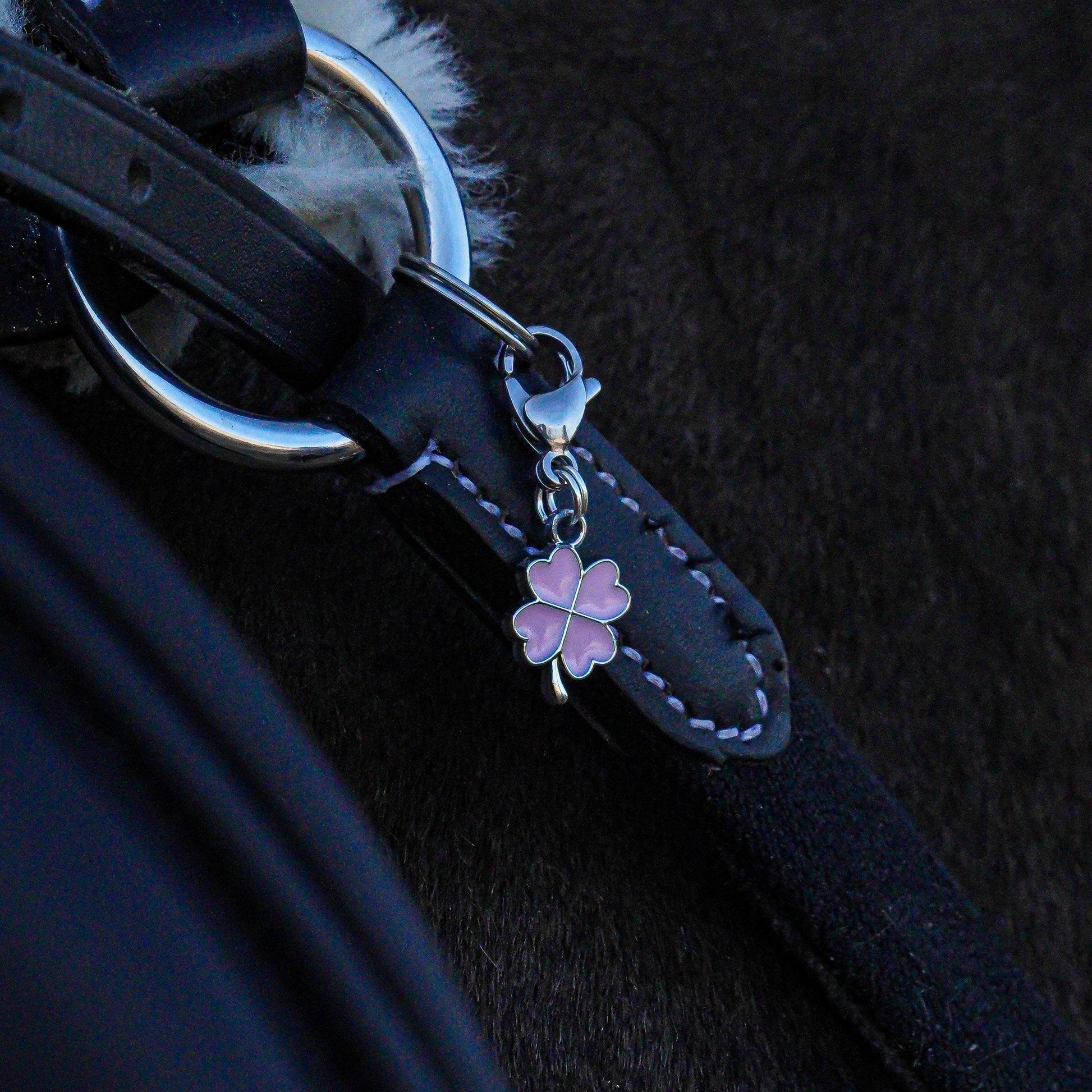 GLÜCKSKLEE Charm - Glam & Gallop