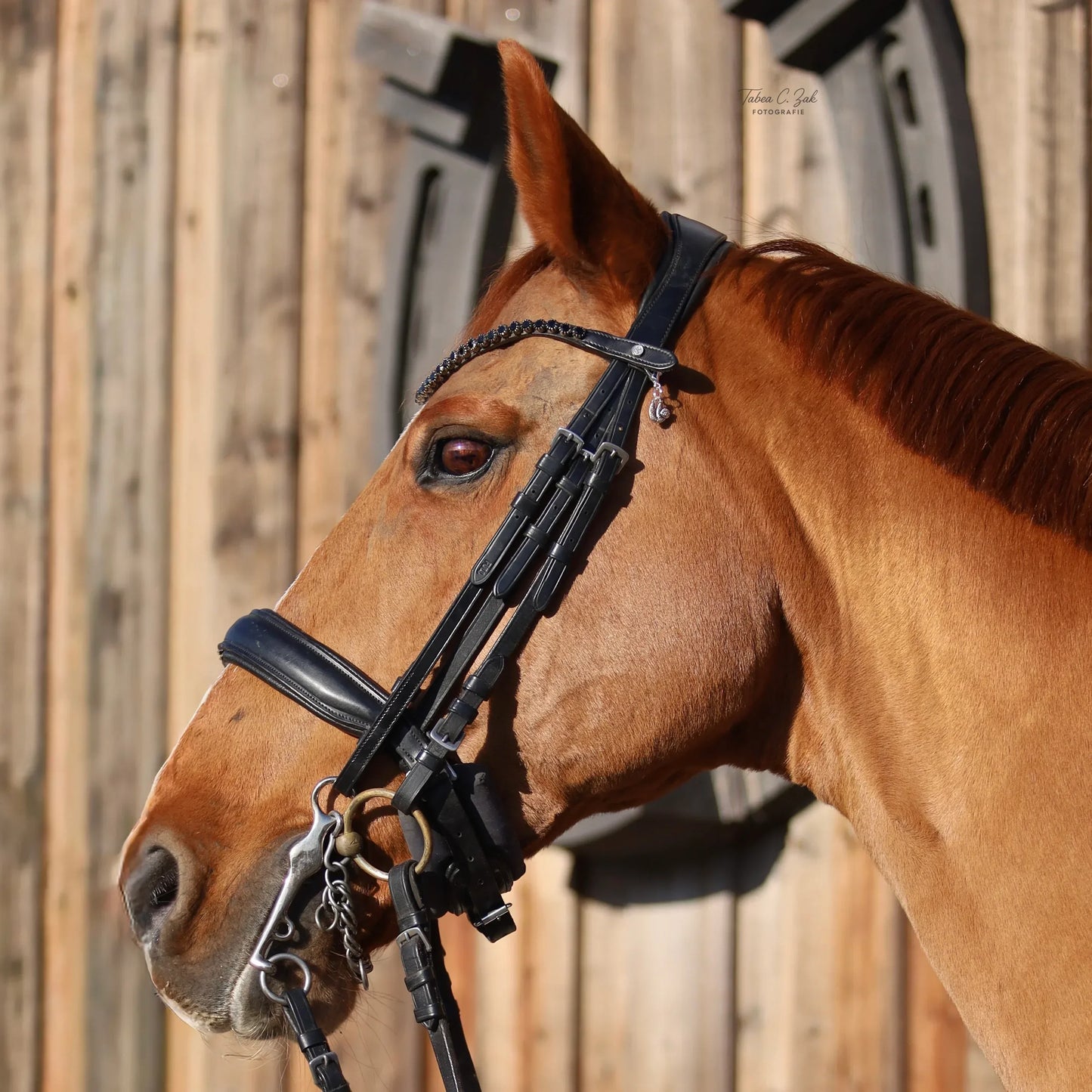 FAULTIER Charm - Glam & Gallop