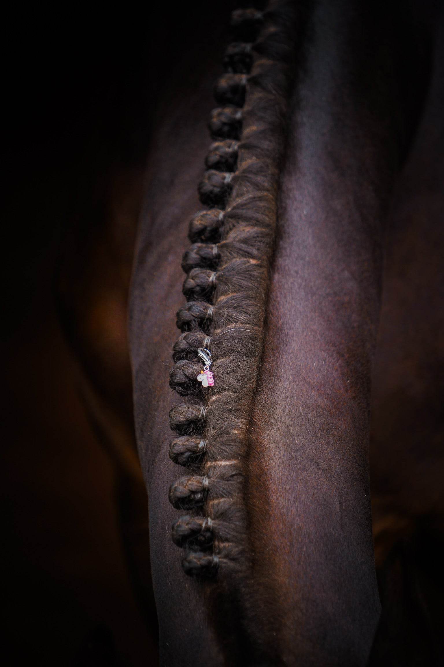 UNICORN Charm - Glam & Gallop