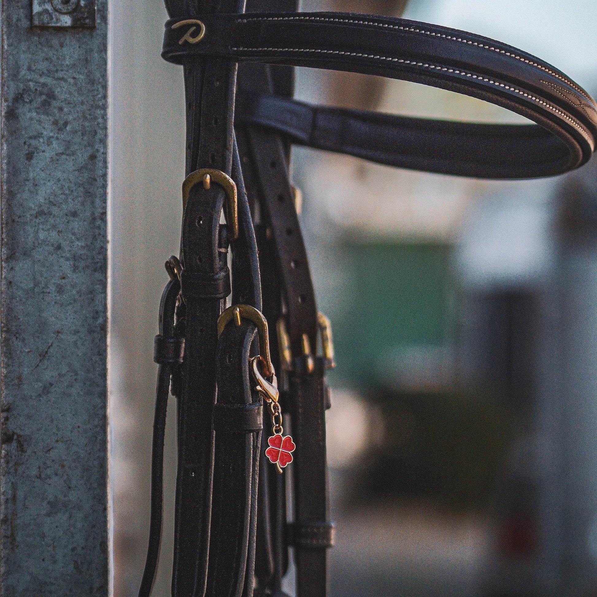 GLÜCKSKLEE Charm - Glam & Gallop