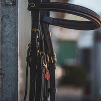 KLASSISCHE GLÜCKSBRINGER