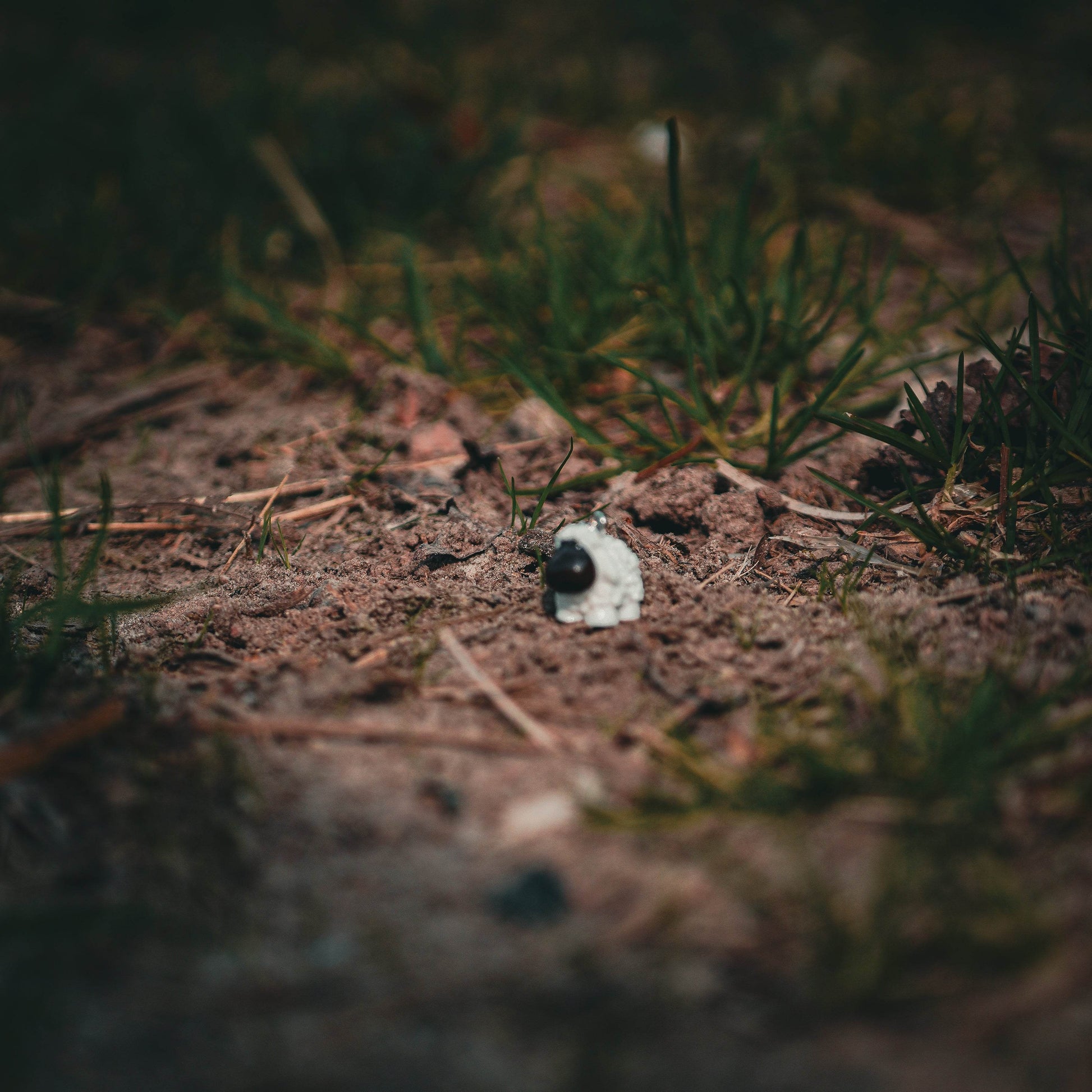 SCHAF Charm - Glam & Gallop