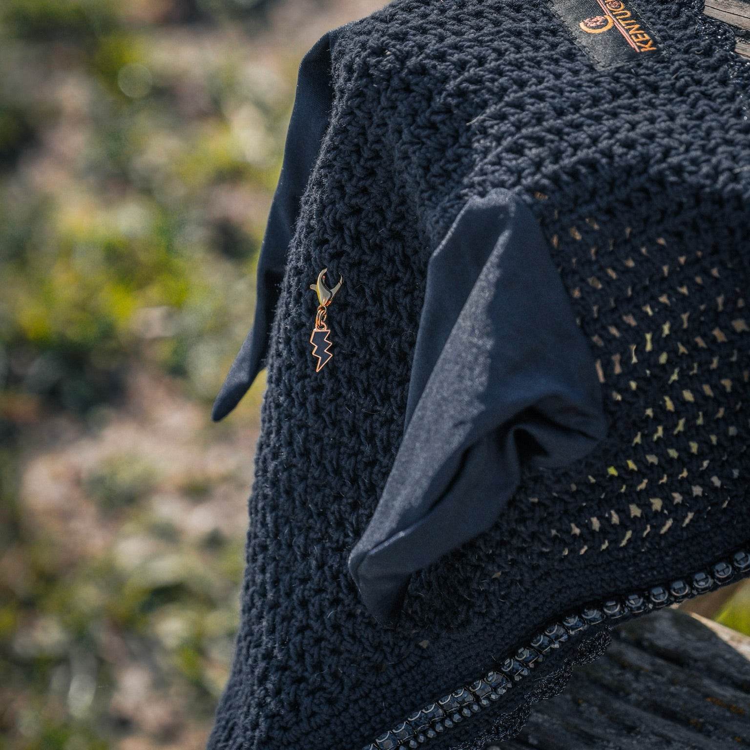 COLOR FLASH Charm - Glam & Gallop