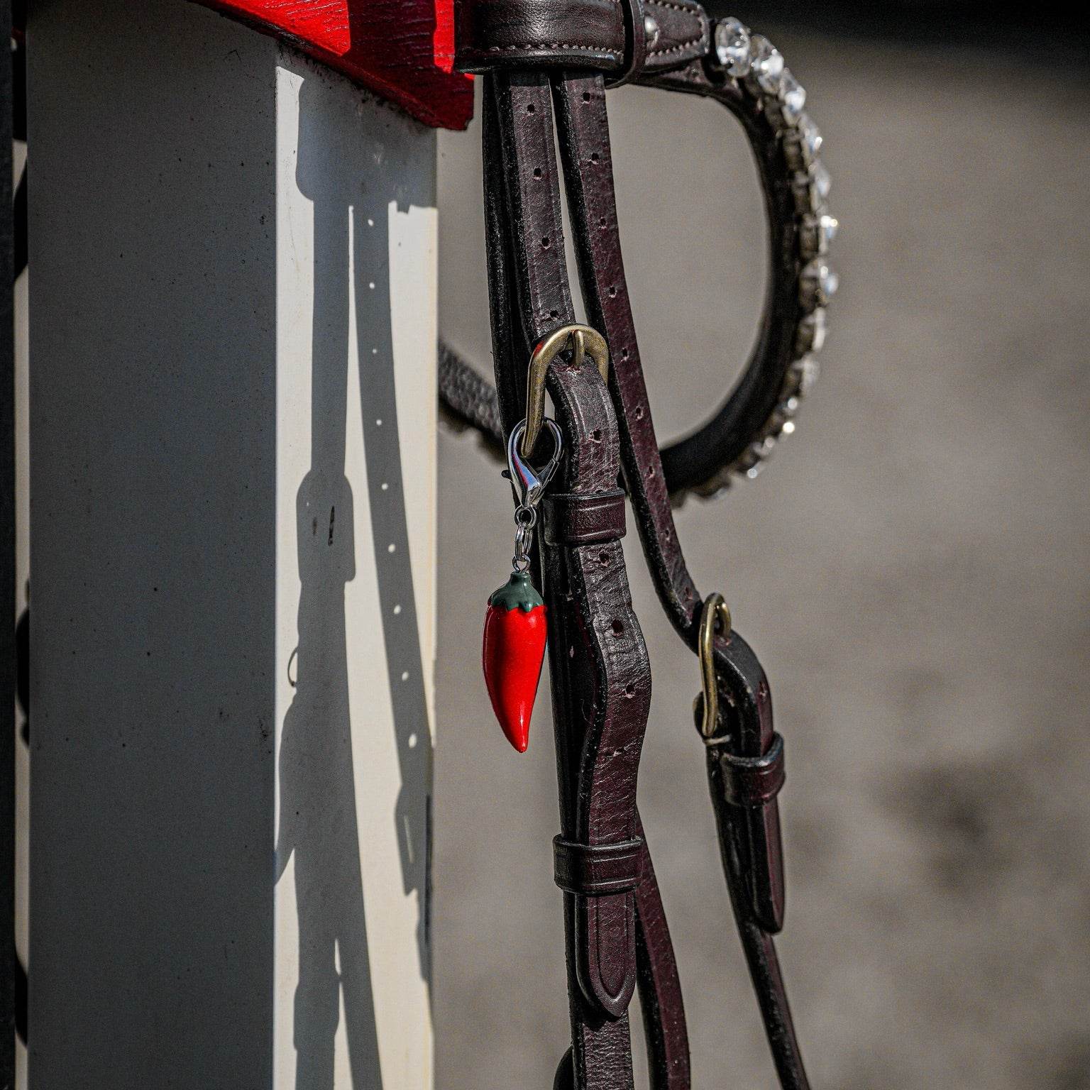 CHILI Charm - Glam & Gallop