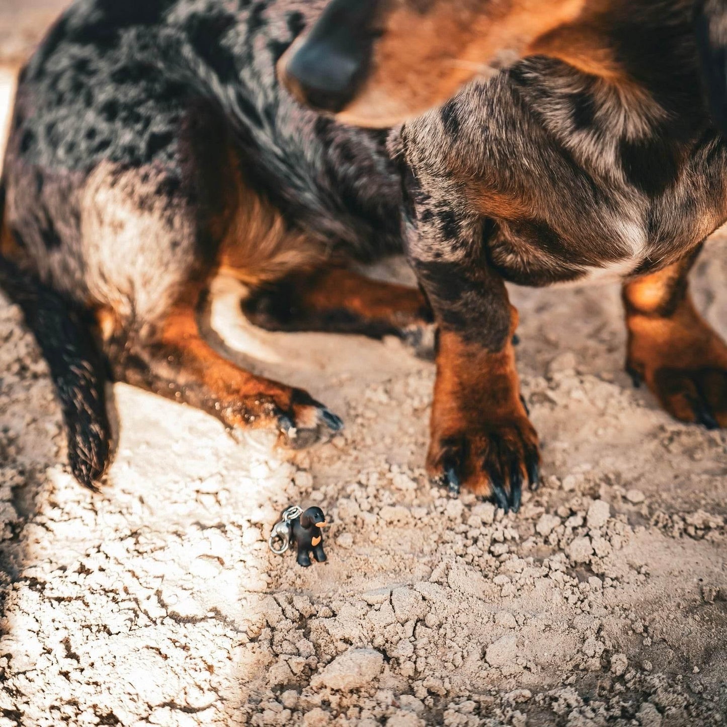 SAUSAGE SWEETIE Charm - Glam & Gallop