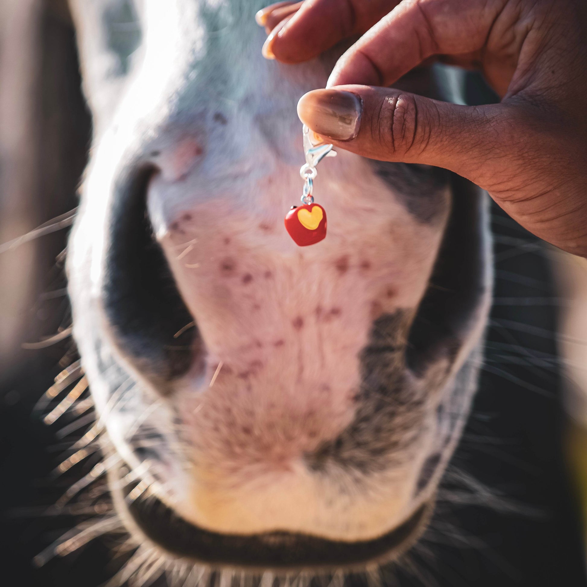 APPLE LOVE Charm - Glam & Gallop