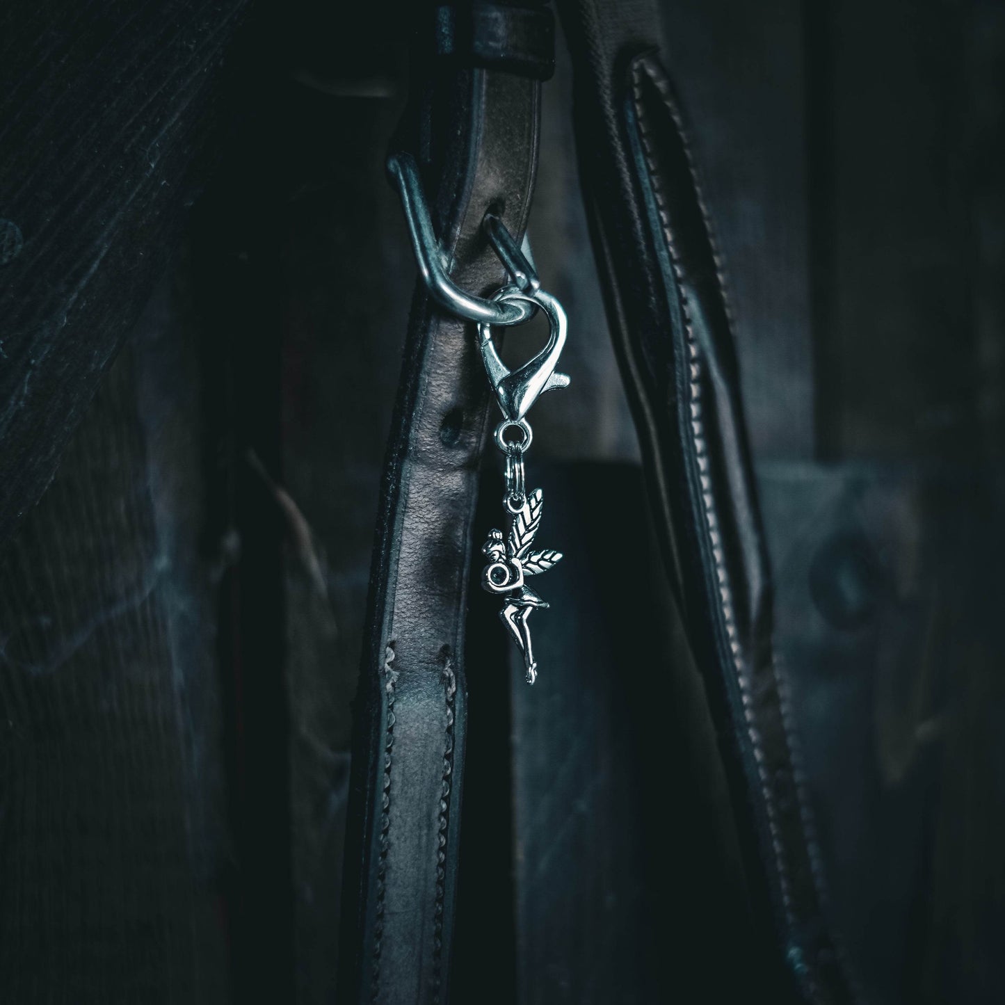 Fairy Charm
