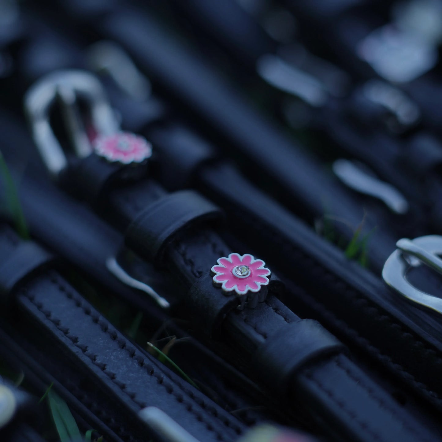 PINK FLOWER Sporenriemen - Glam & Gallop