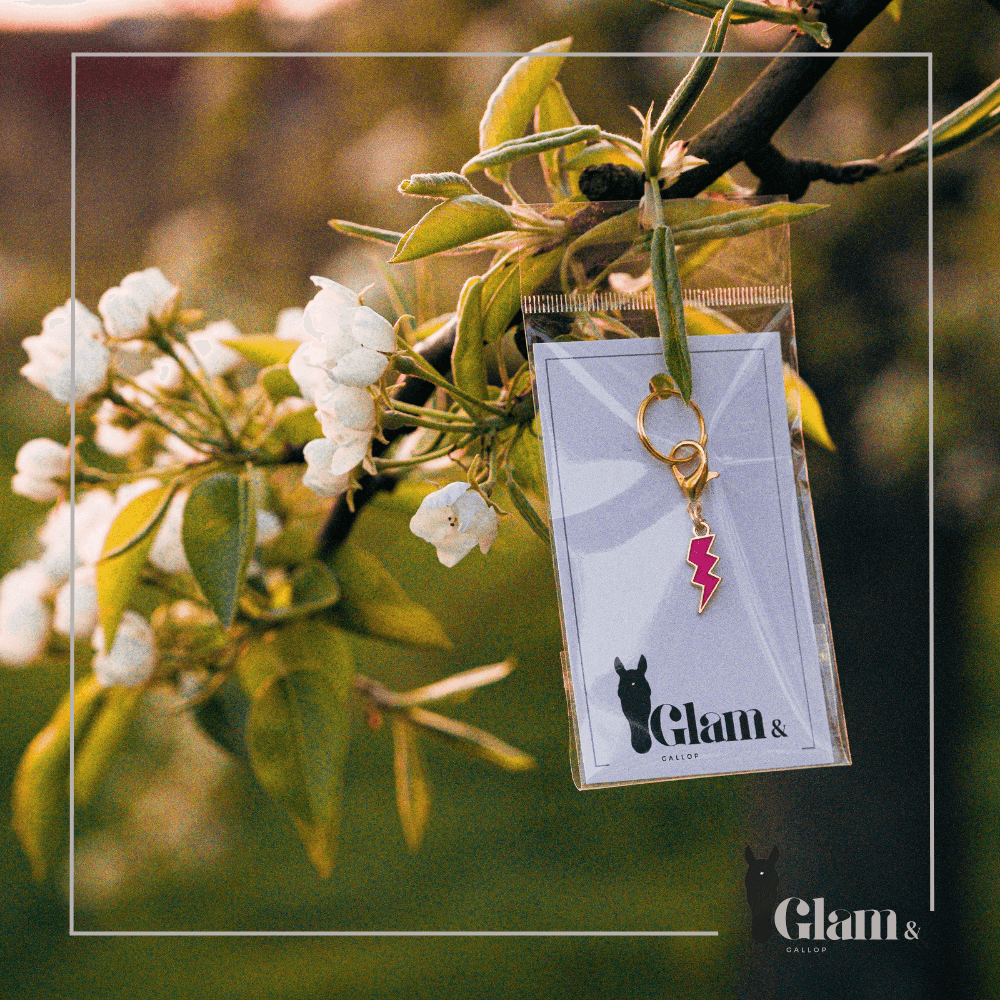 COLOR FLASH Charm - Glam & Gallop
