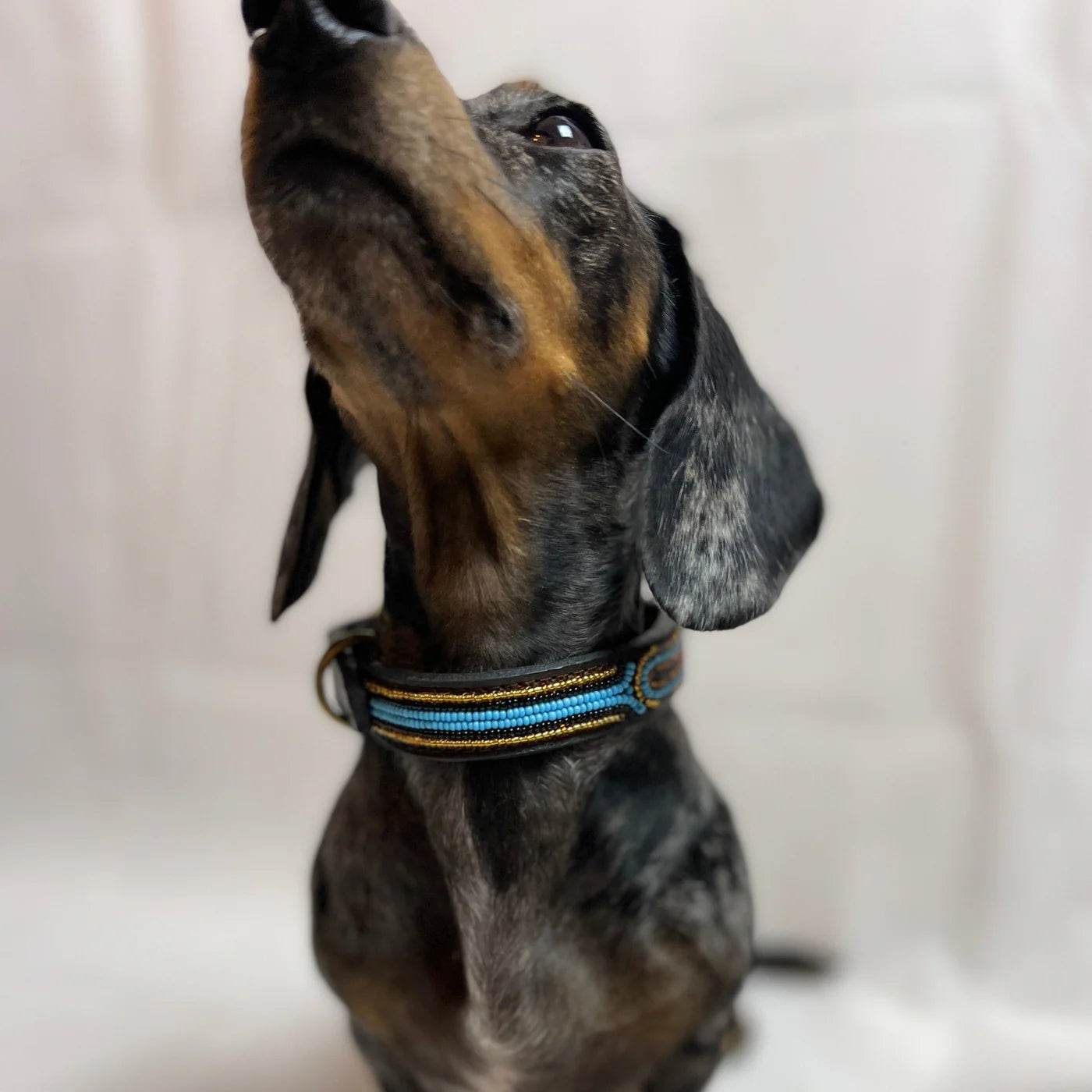 Hundehalsband Maasai aus Leder mit Perlen - Größe S - Glam & Gallop