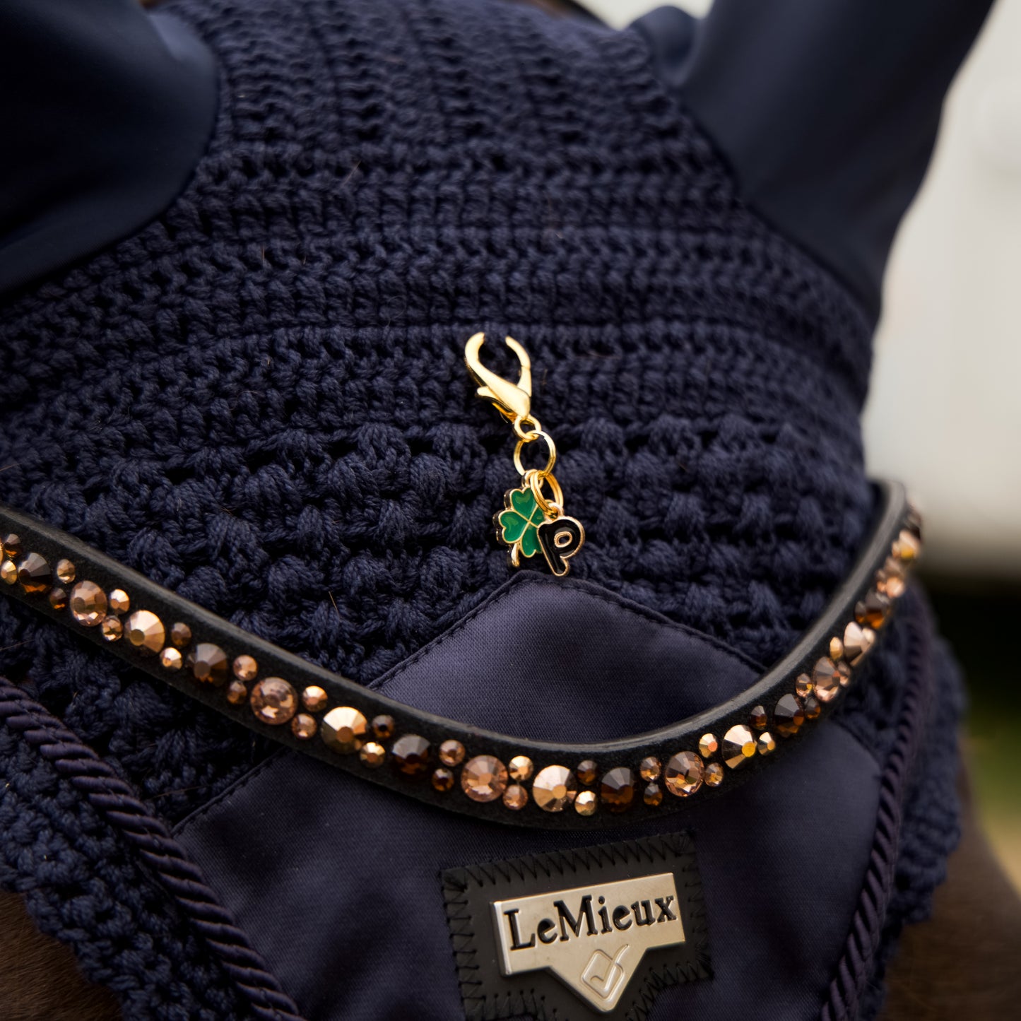 Lucky Clover Charm