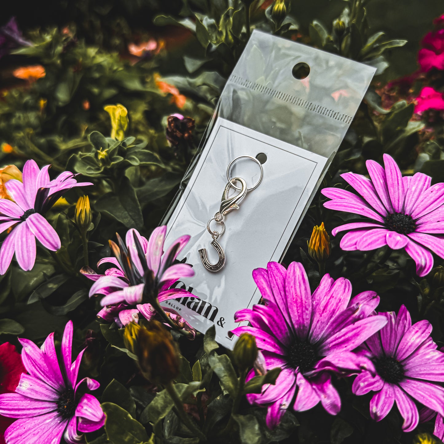 HORSESHOE Charm