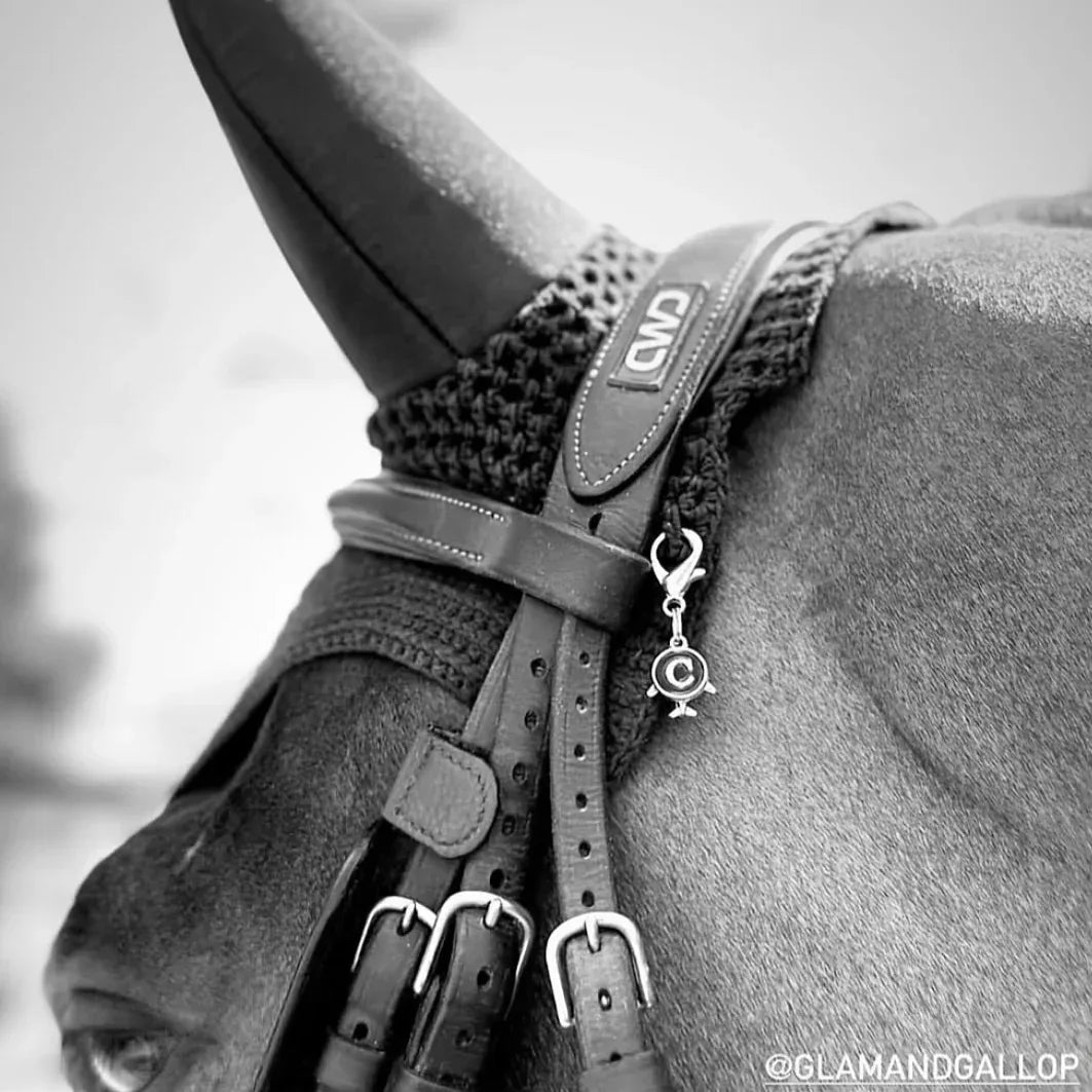 FLUGZEUG Charm - Glam & Gallop