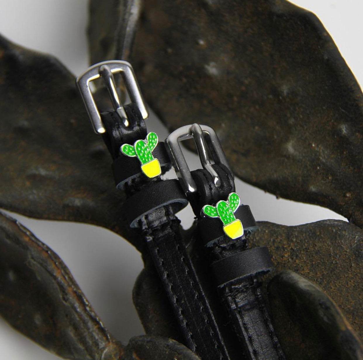 KAKTUS Sporenriemen - Glam & Gallop