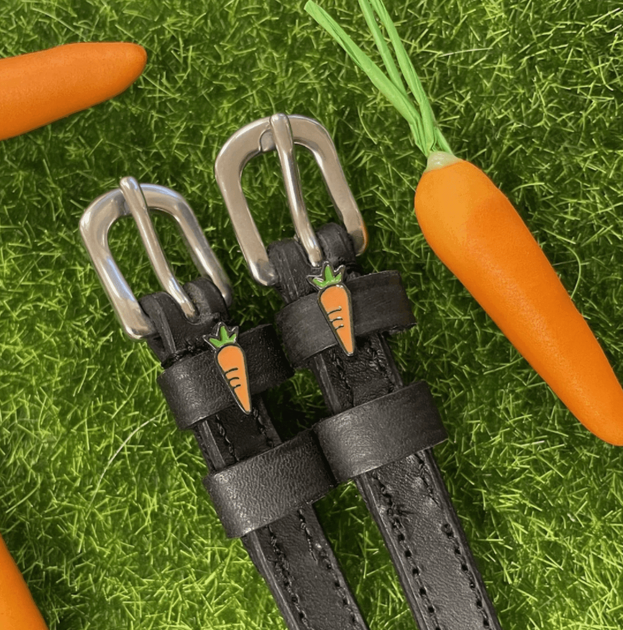 KAROTTE Sporenriemen - Glam & Gallop