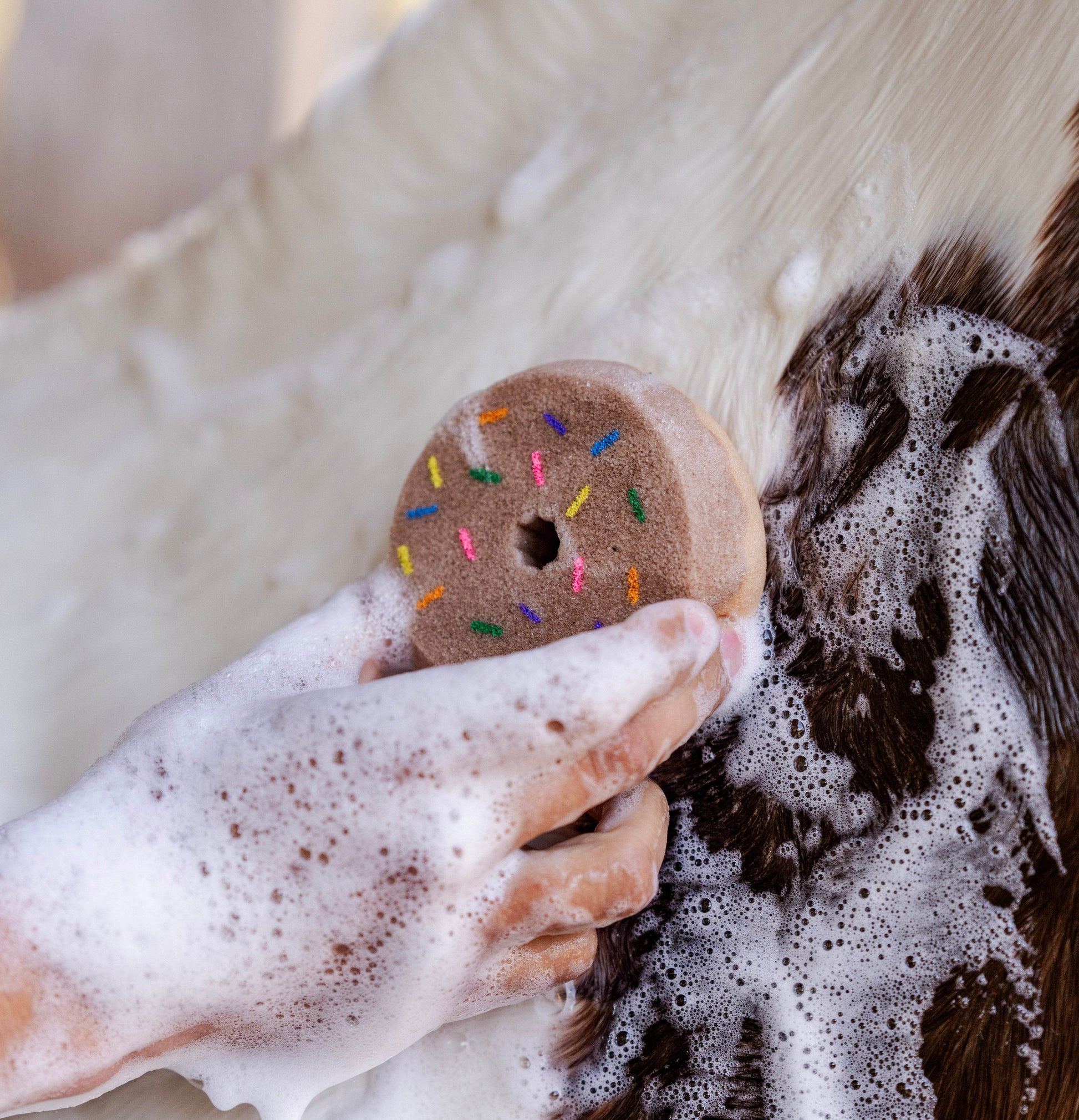 DONUT Schwamm - Glam & Gallop