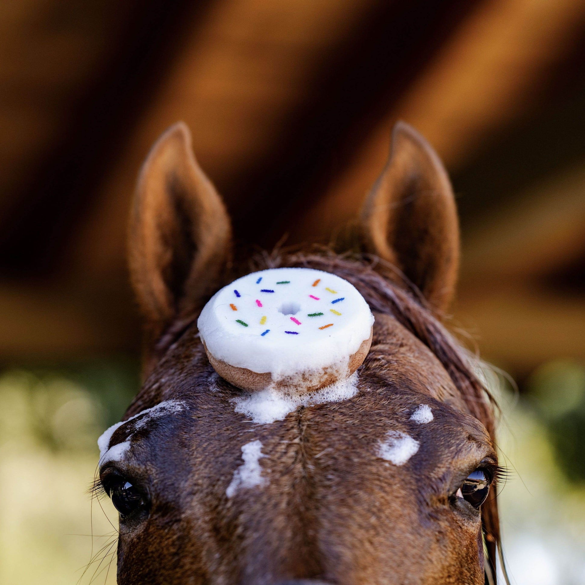 DONUT Schwamm - Glam & Gallop