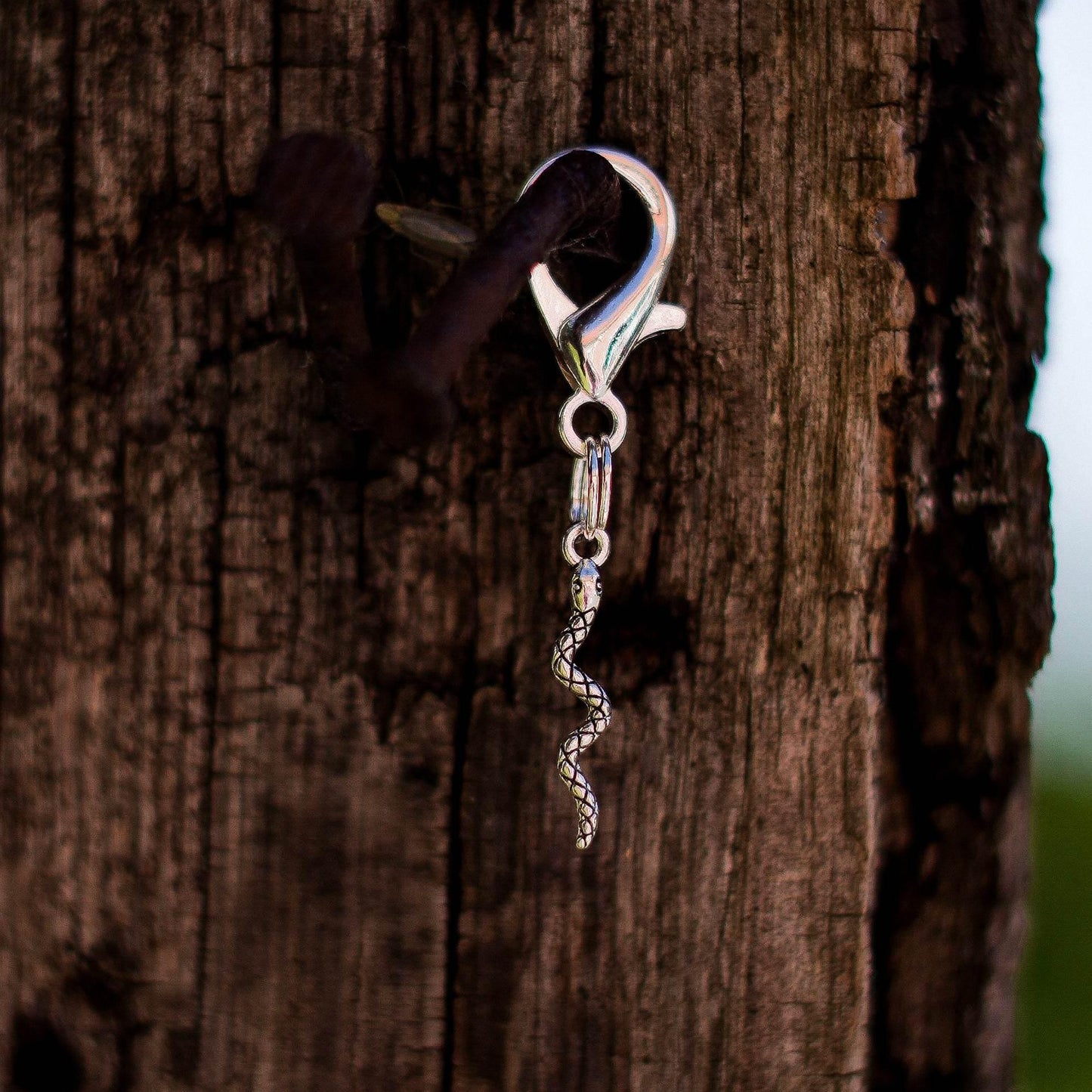 SCHLANGE Charm - Glam & Gallop