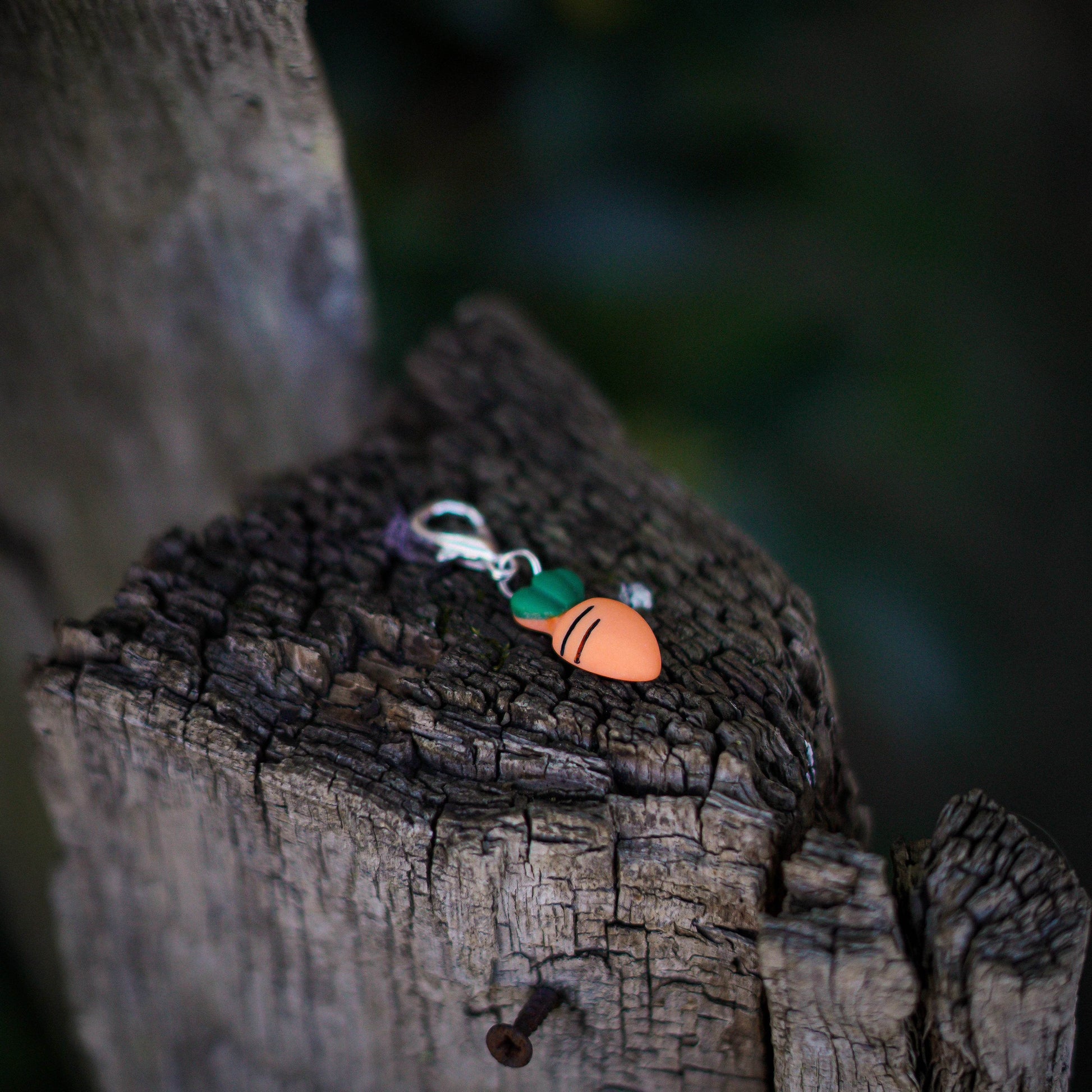 MÖHRENLIEBE Charm - Glam & Gallop