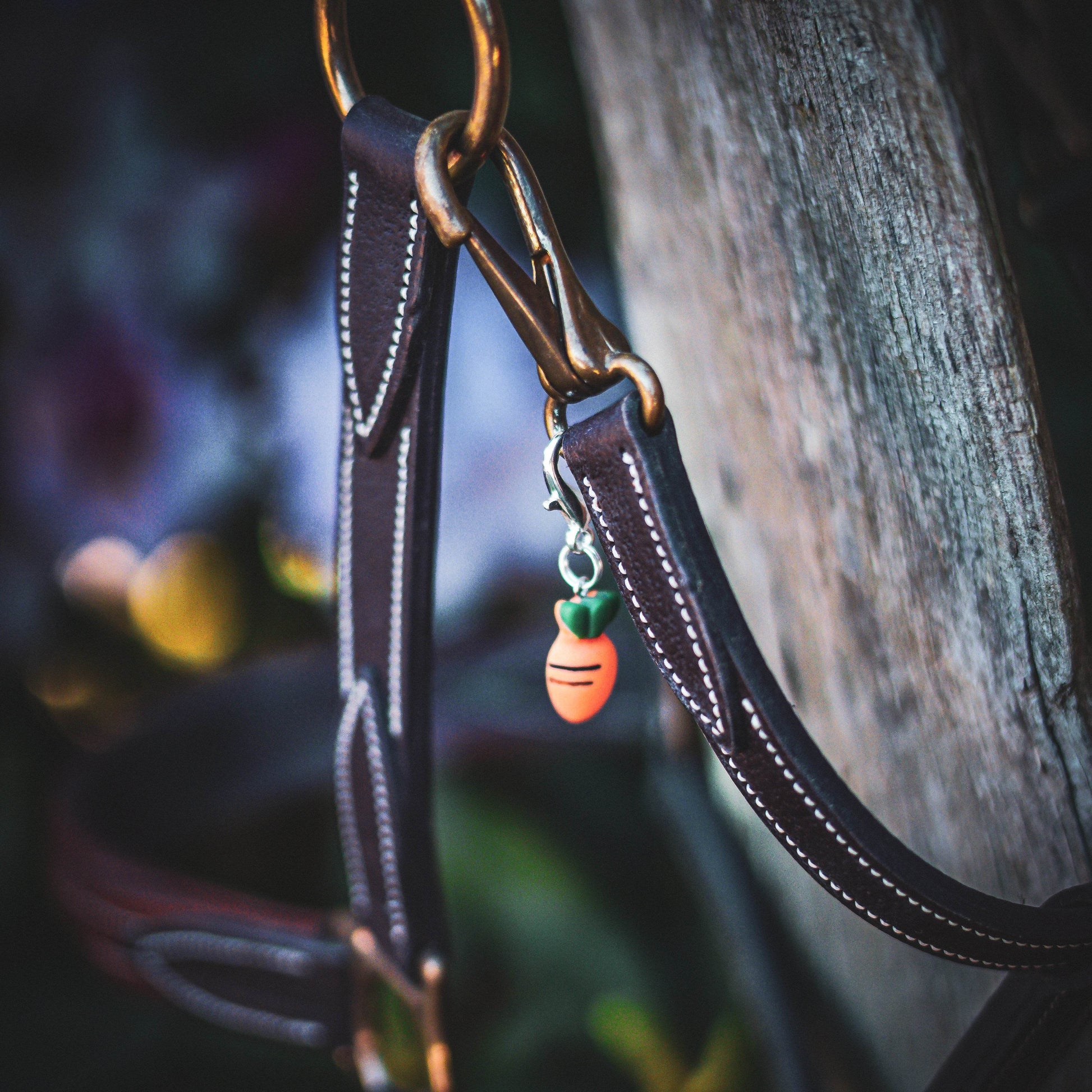 MÖHRENLIEBE Charm - Glam & Gallop