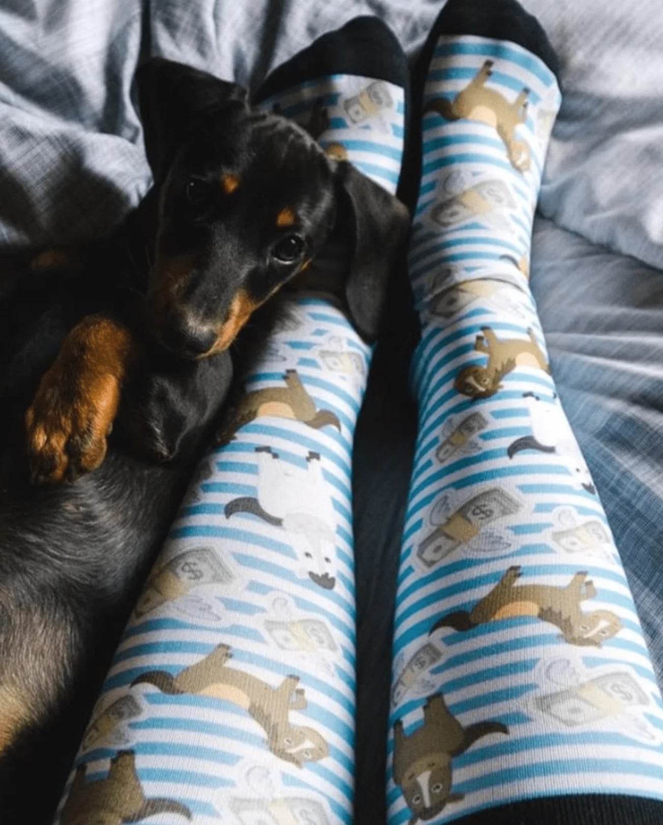 CASH MONEY Reitsocken Pair & a Spare - Glam & Gallop