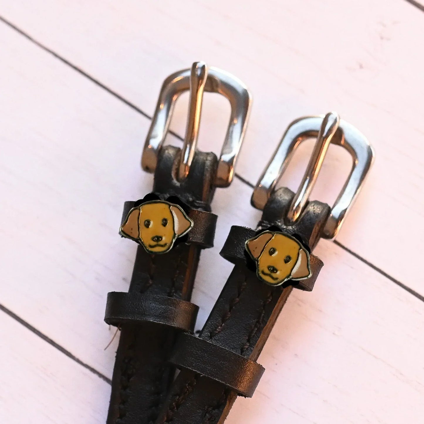 LABRADOR Sporenriemen - Glam & Gallop