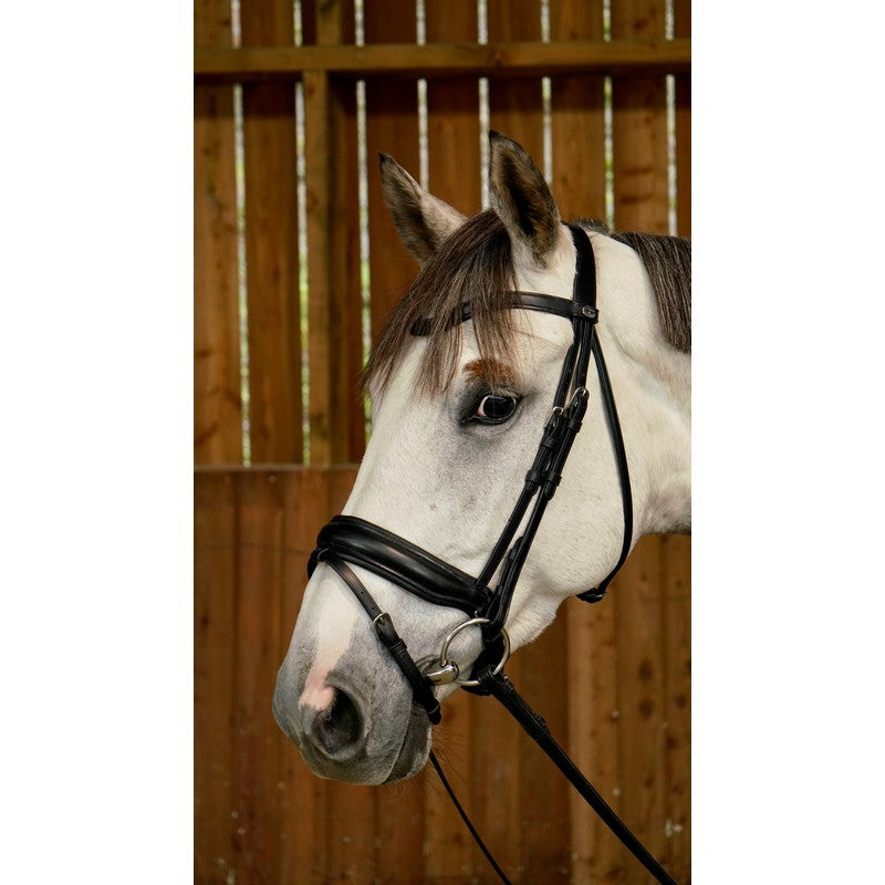 Trense mit schwedischem Reithalfter WORKING Collection