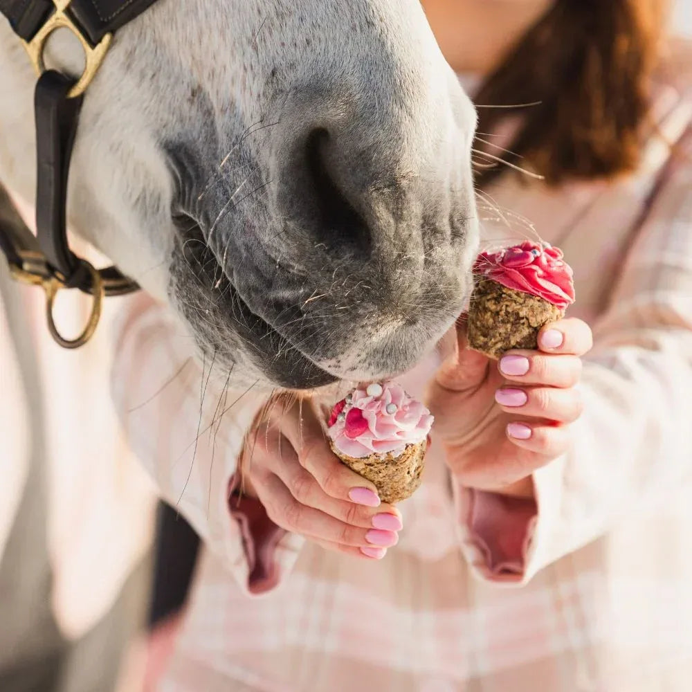 LOVE MUFFIN Leckerlie - Pony Bueno - Glam & Gallop