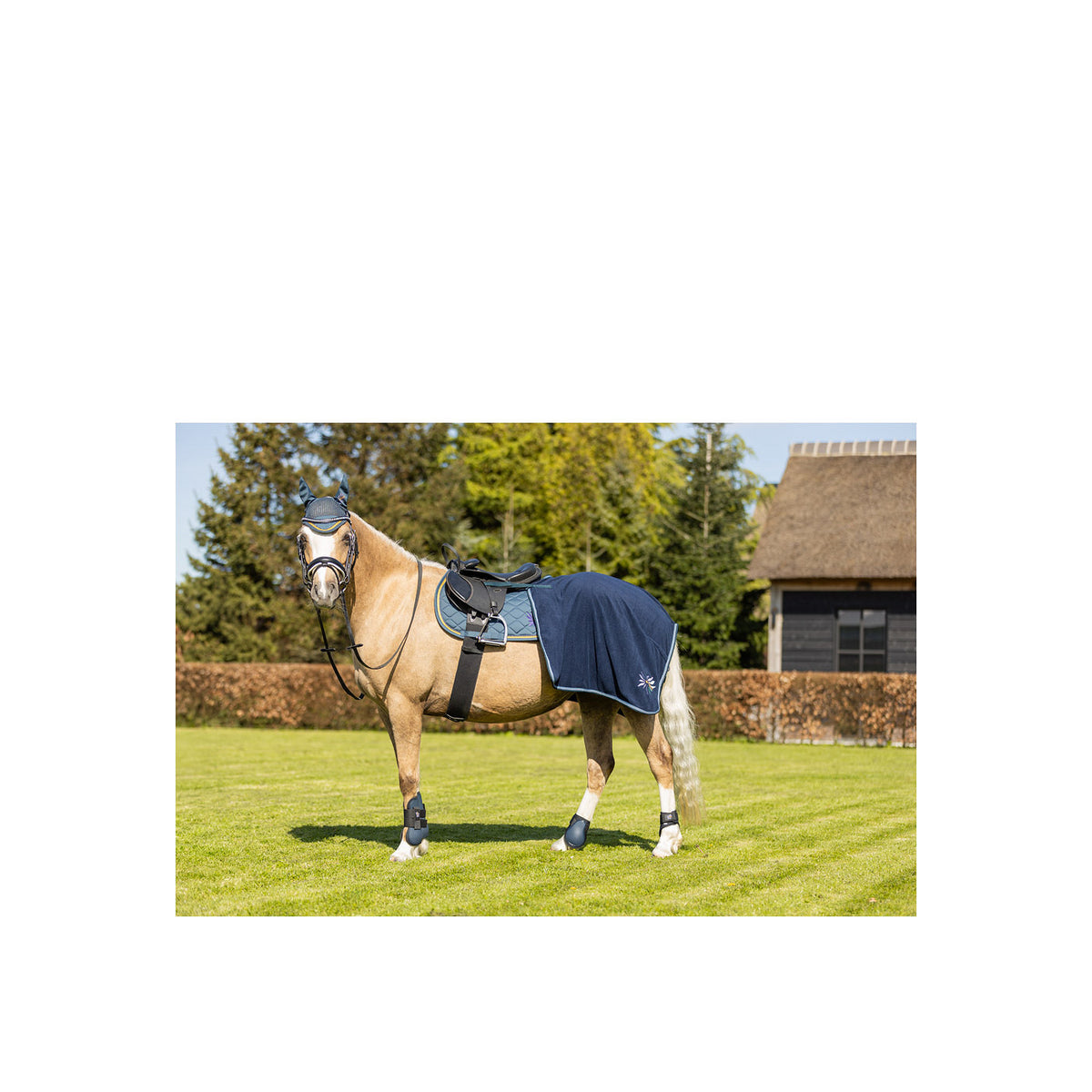 BR Mini Horse Sehnenschoner