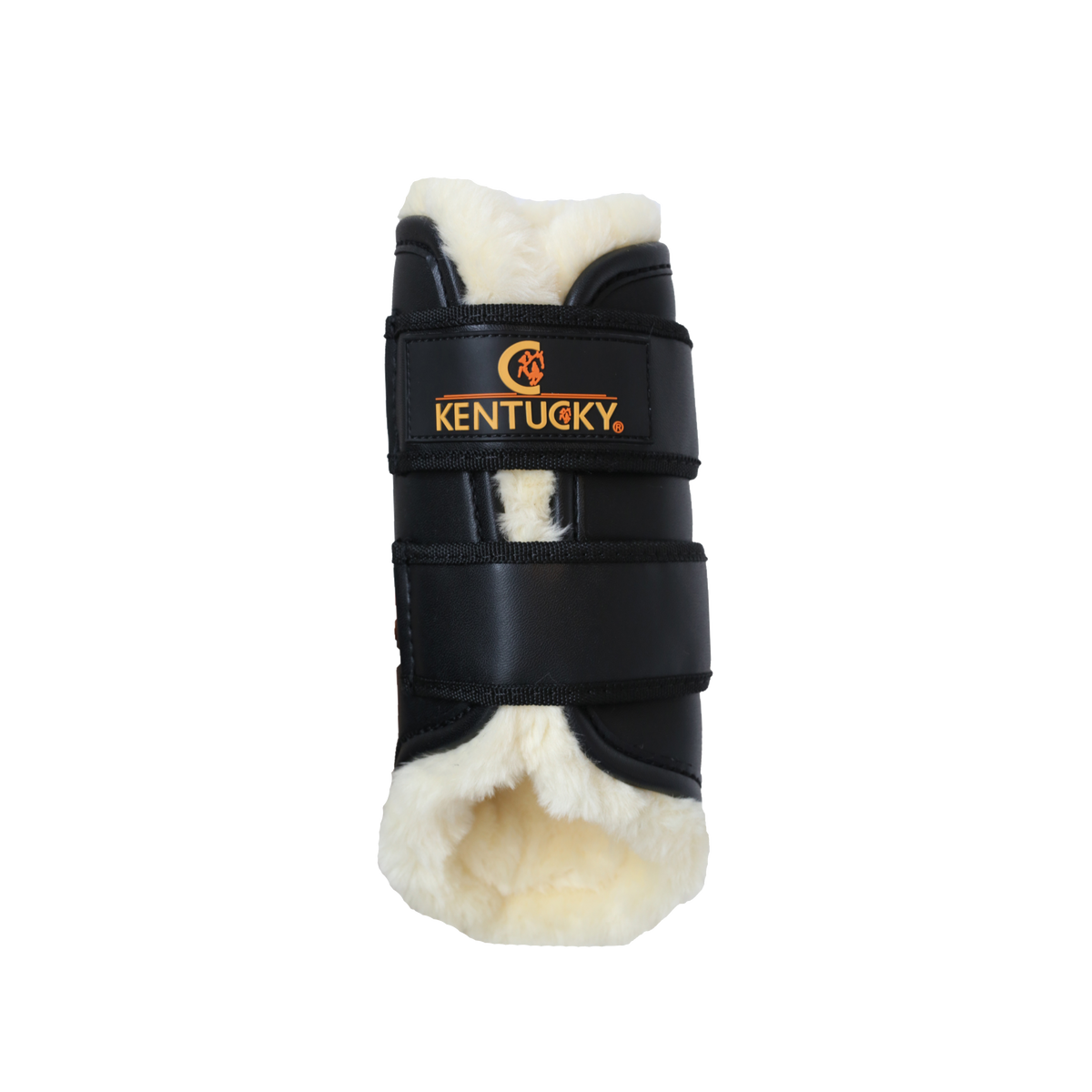 Brushing Boots Leather Front