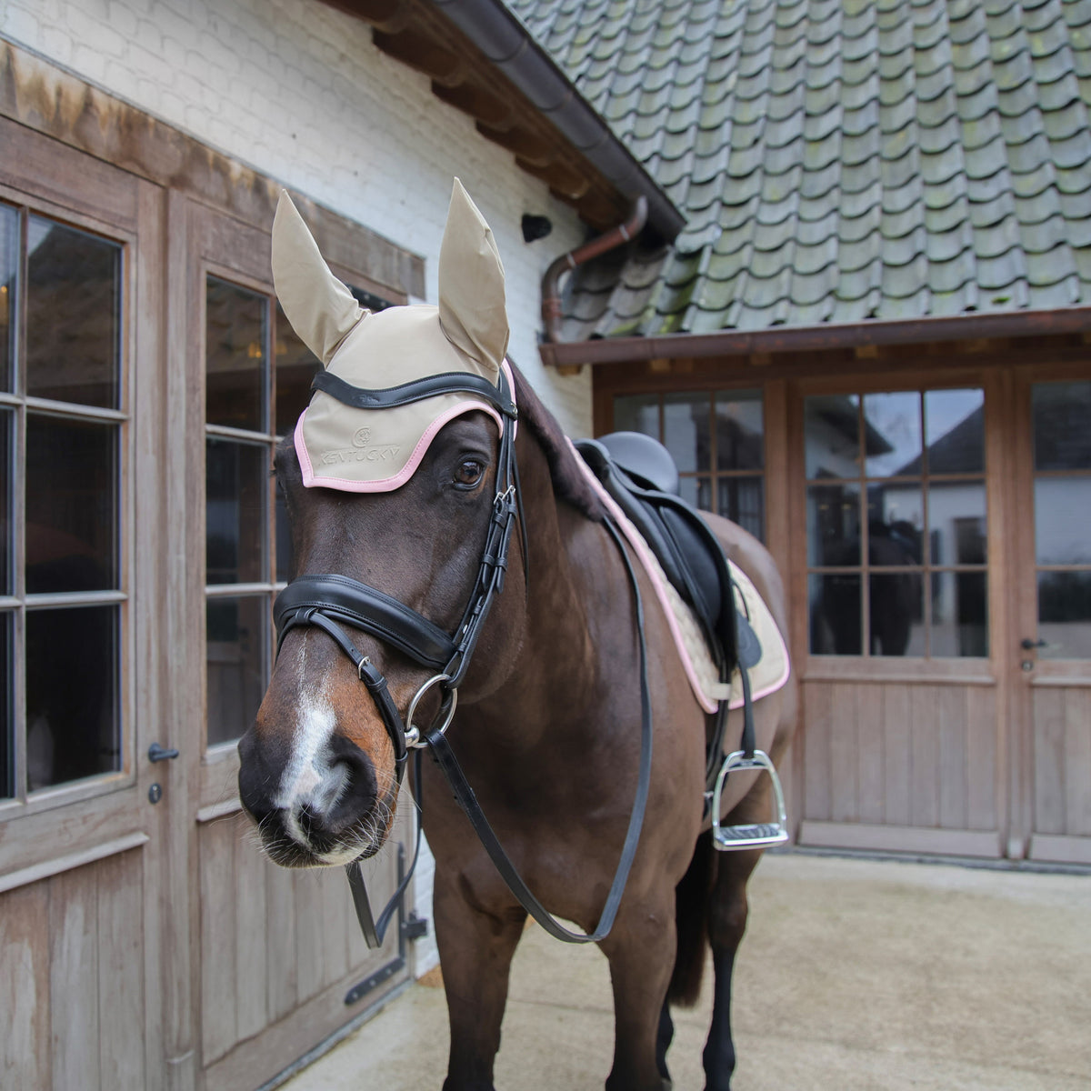 Fliegenhaube Wellington Softshell