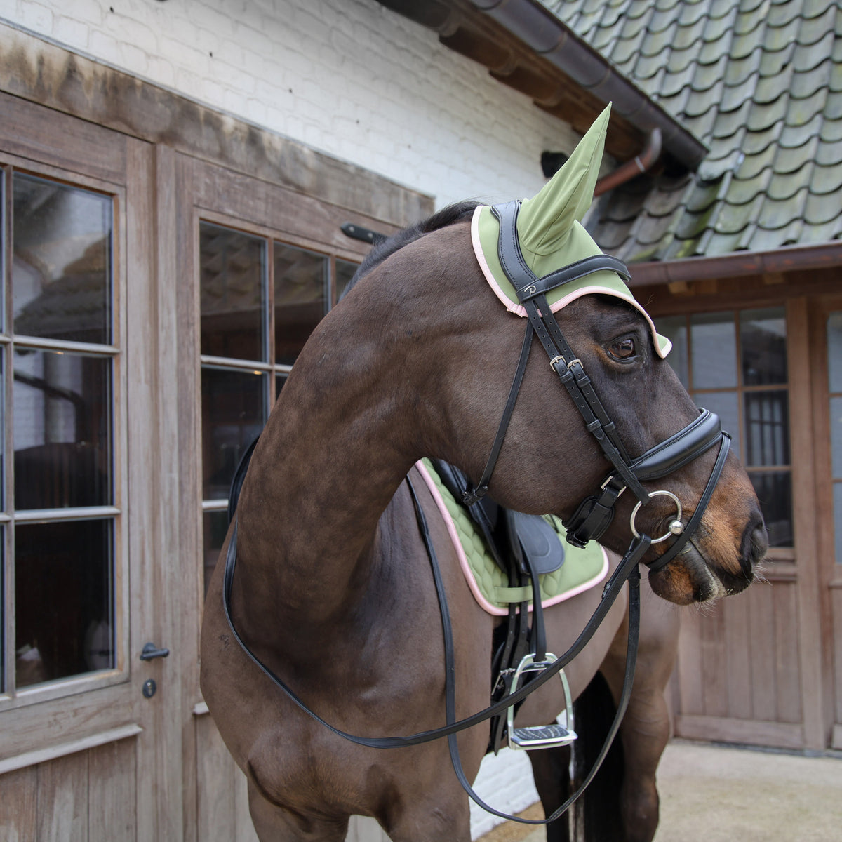 Fliegenhaube Wellington Softshell