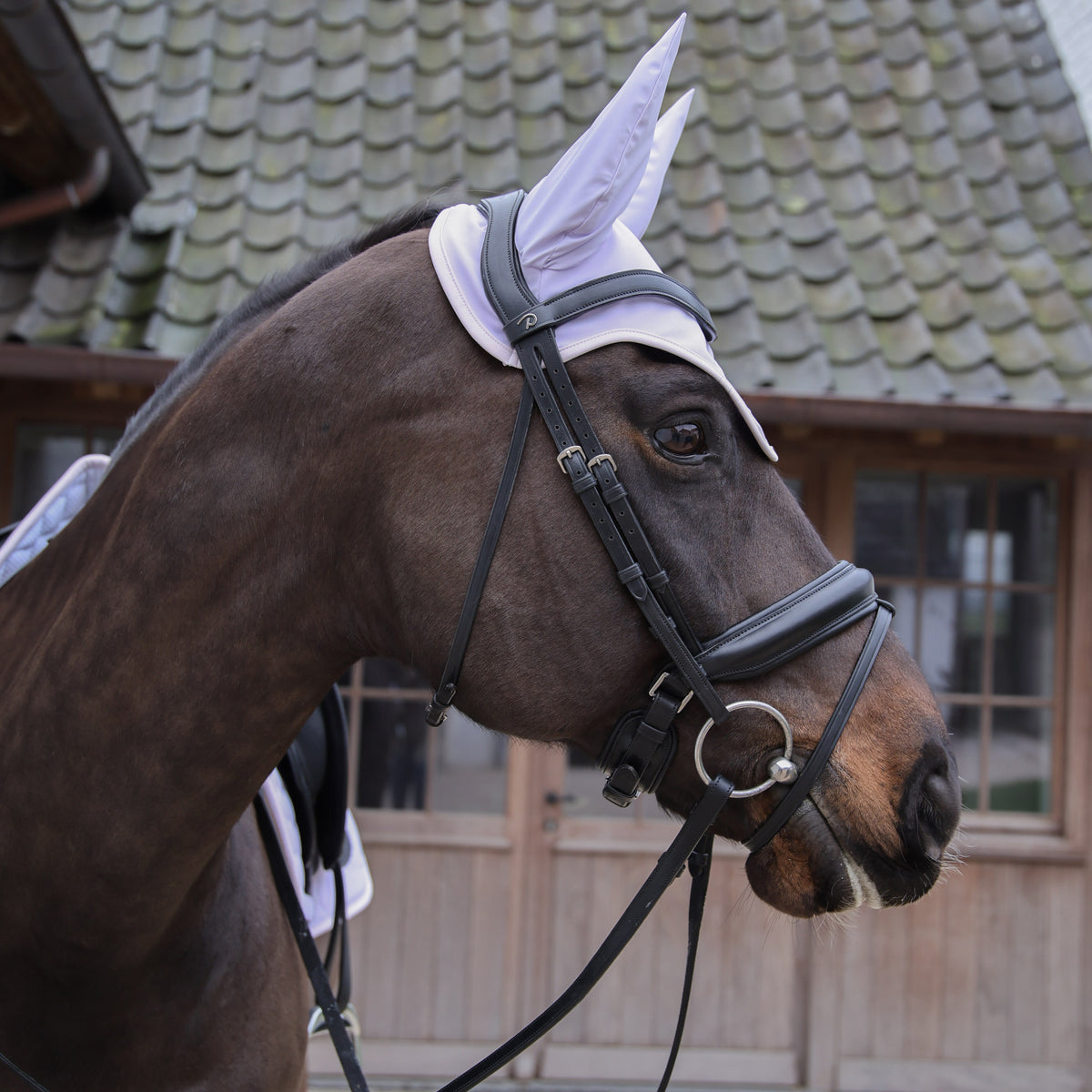 Fliegenhaube Wellington Softshell Helllila Hellrose