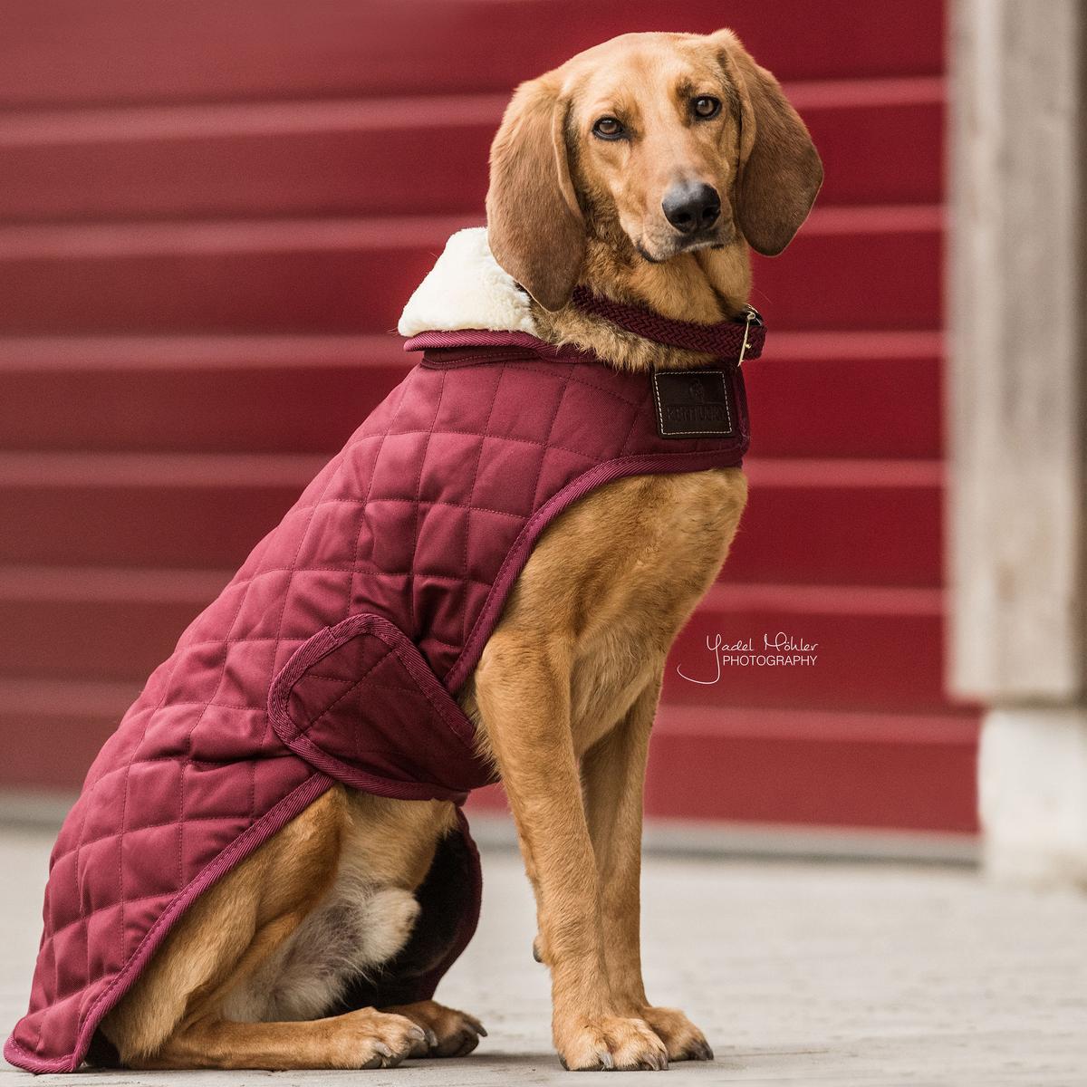 Hundemantel Original